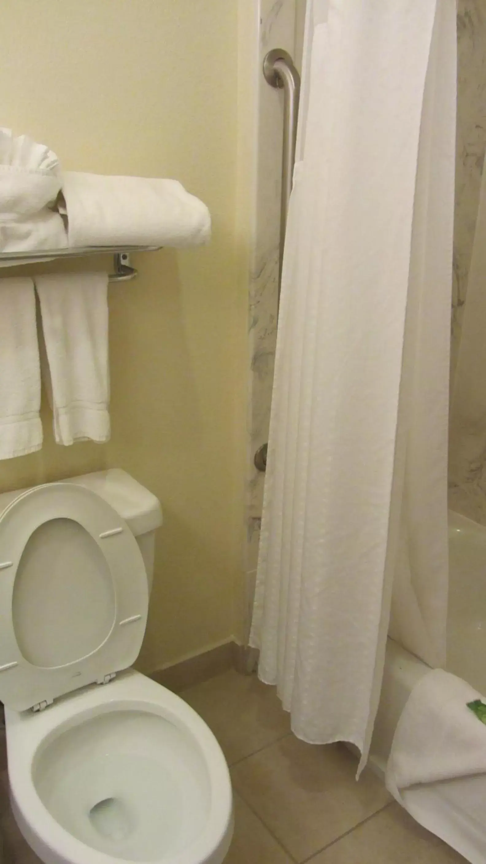 Shower, Bathroom in Holiday Inn Express Hotel & Suites Houston North Intercontinental, an IHG Hotel