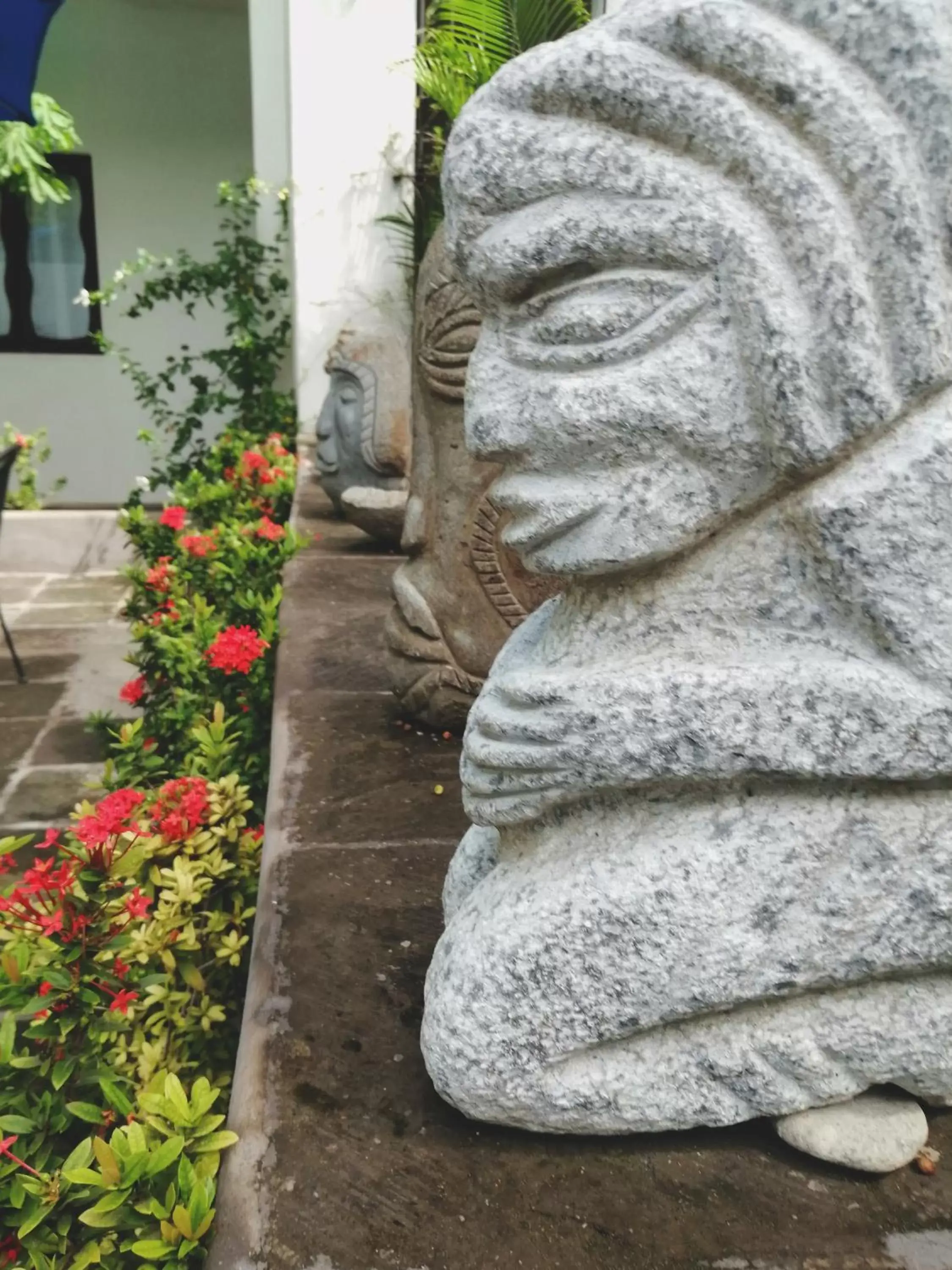 Garden in Ceiba Studios