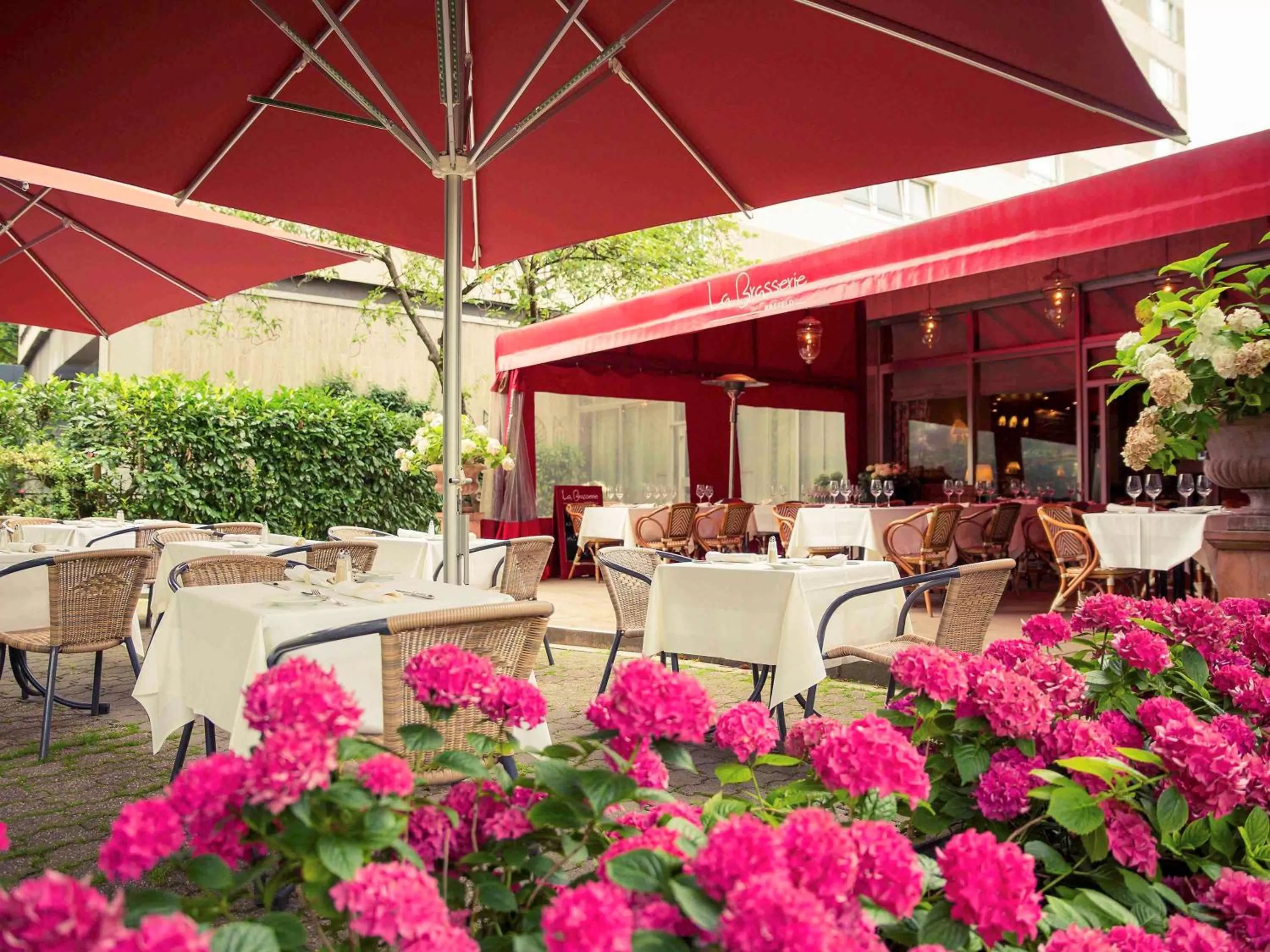 Restaurant/places to eat in Hotel Krefelder Hof