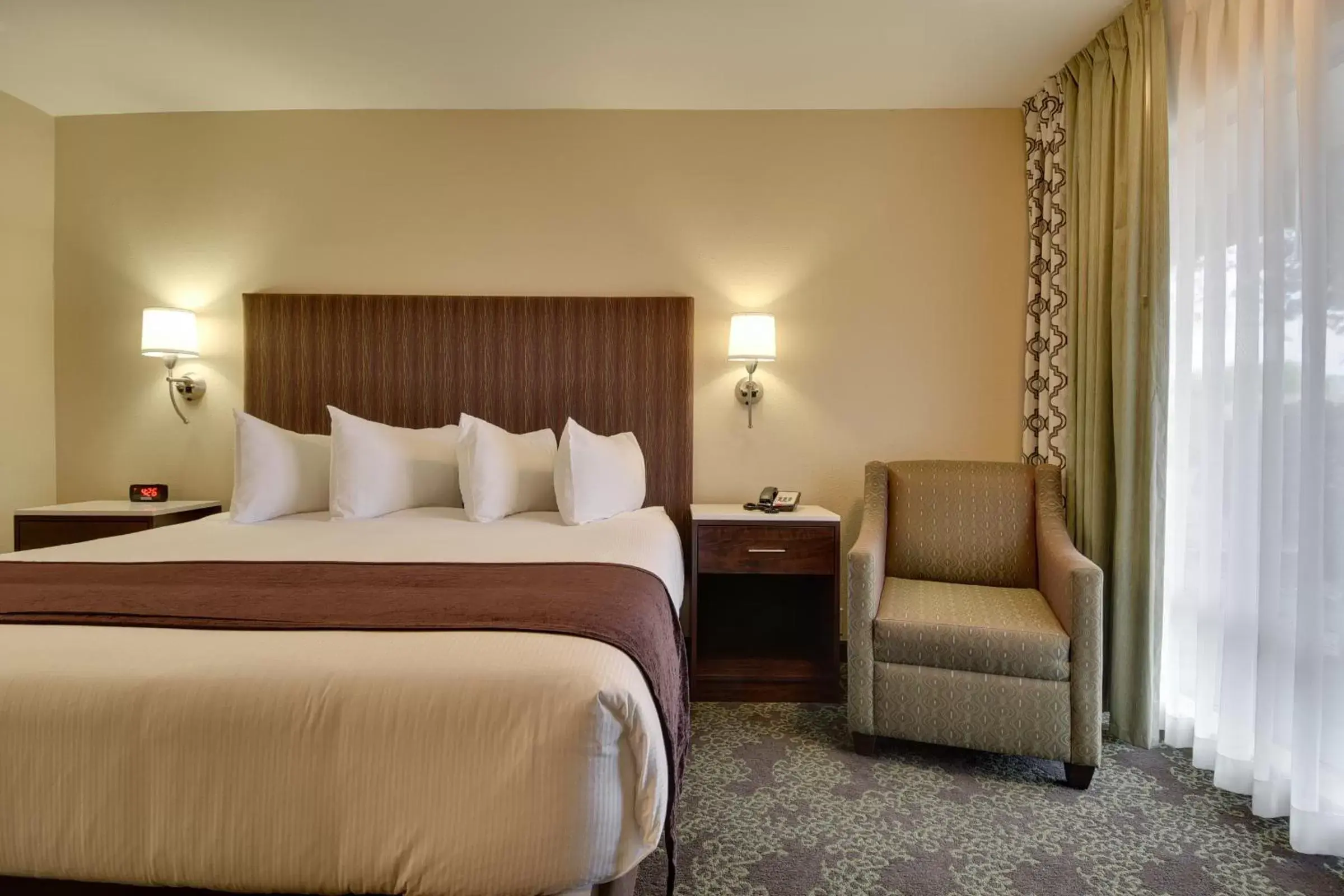 Bed in Vagabond Inn Bishop Bed in Vagabond Inn Bishop