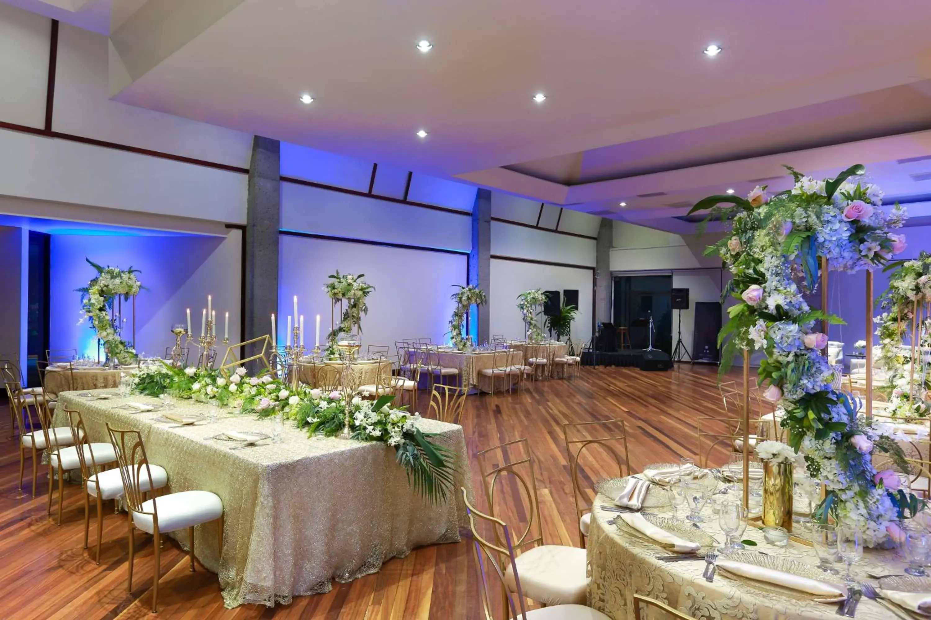 Other, Banquet Facilities in Radisson Hotel San Jose - Costa Rica