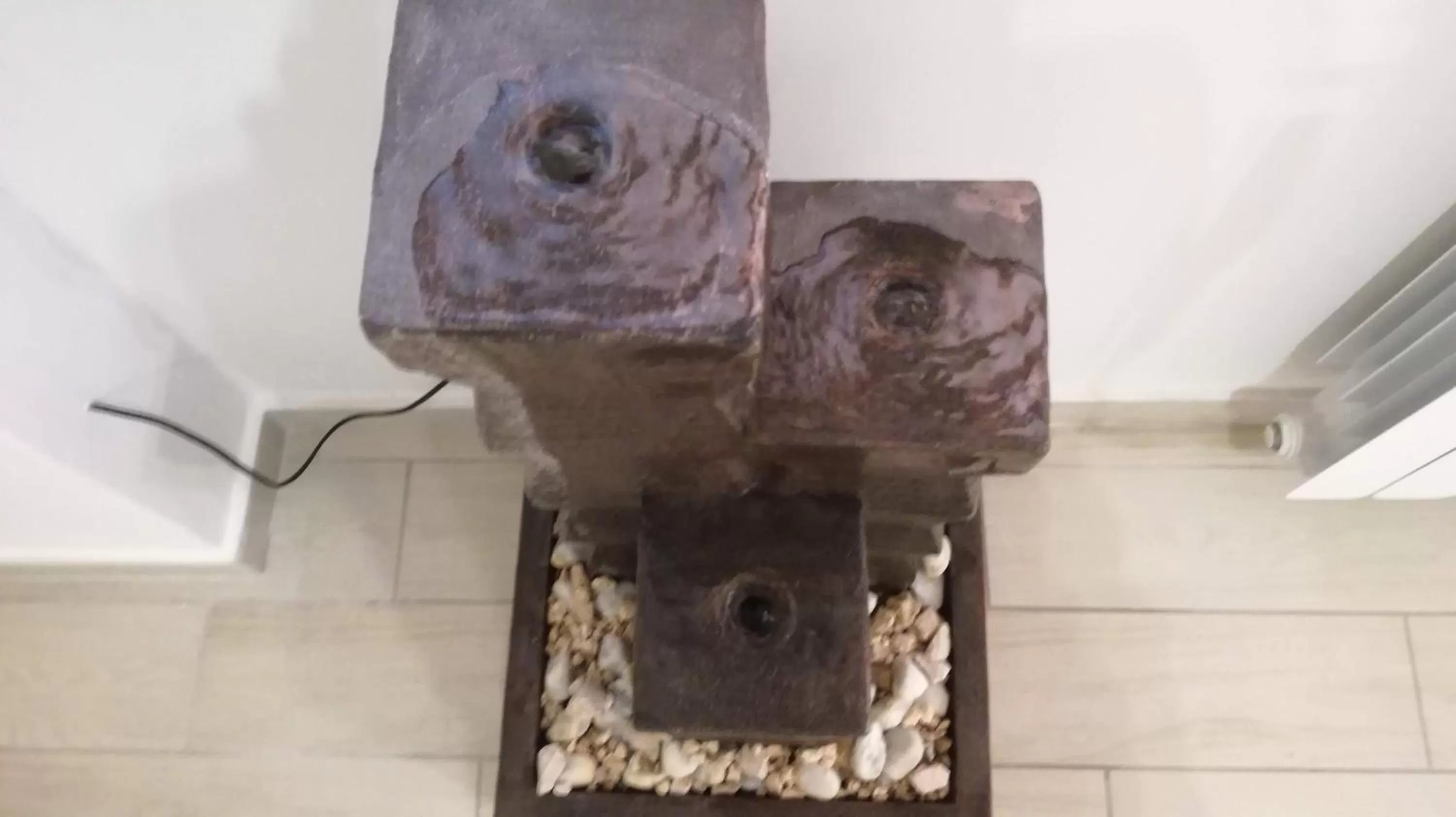 Bonsai Bed & Breakfast