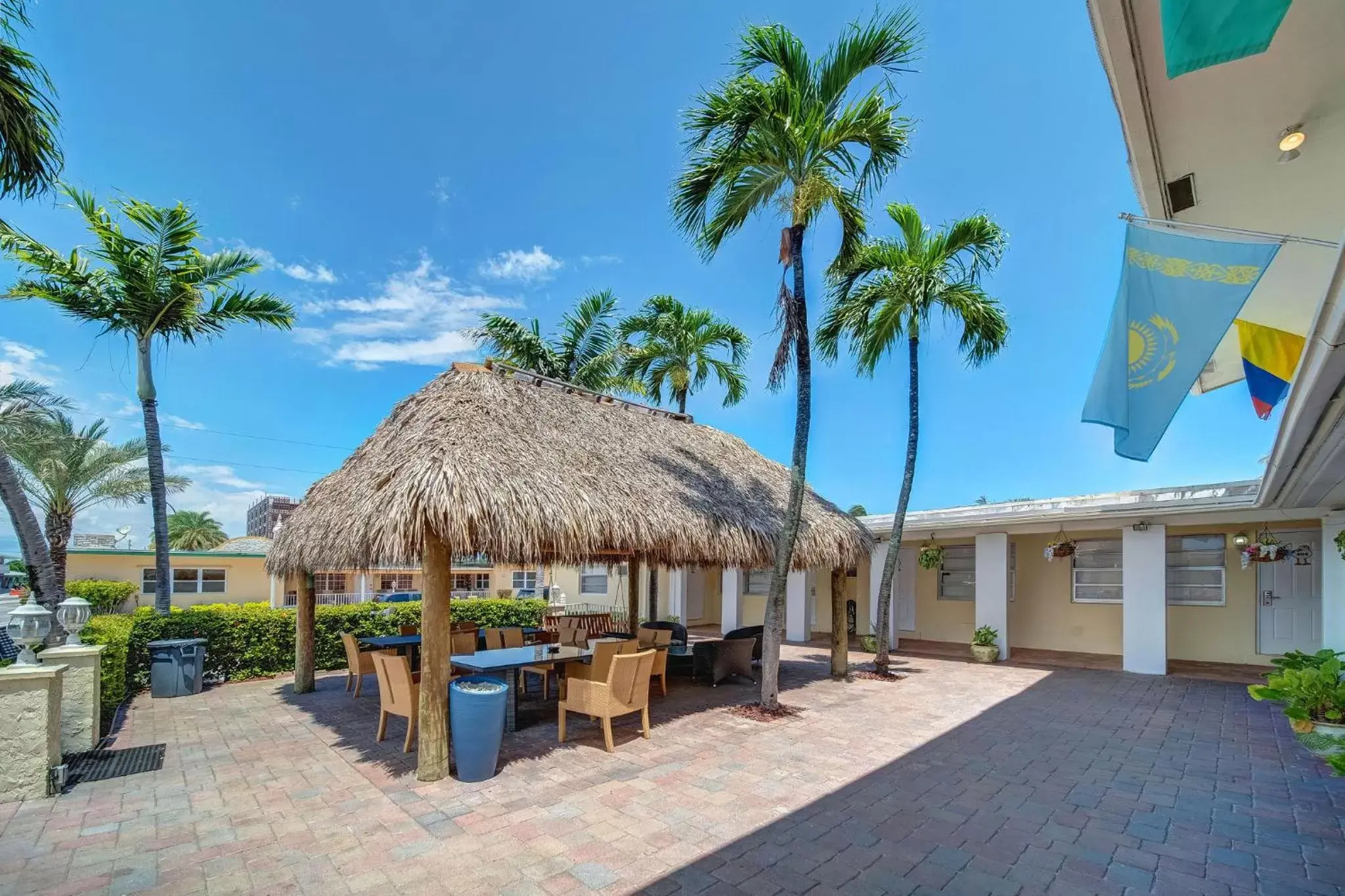 The Seagull The Seagull