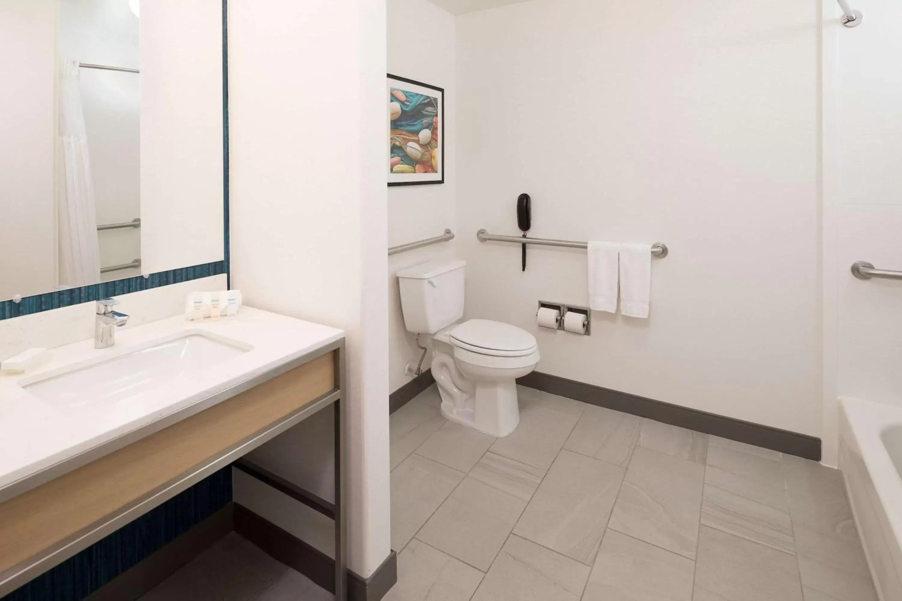 Bathroom in Hilton Garden Inn Sioux City Riverfront