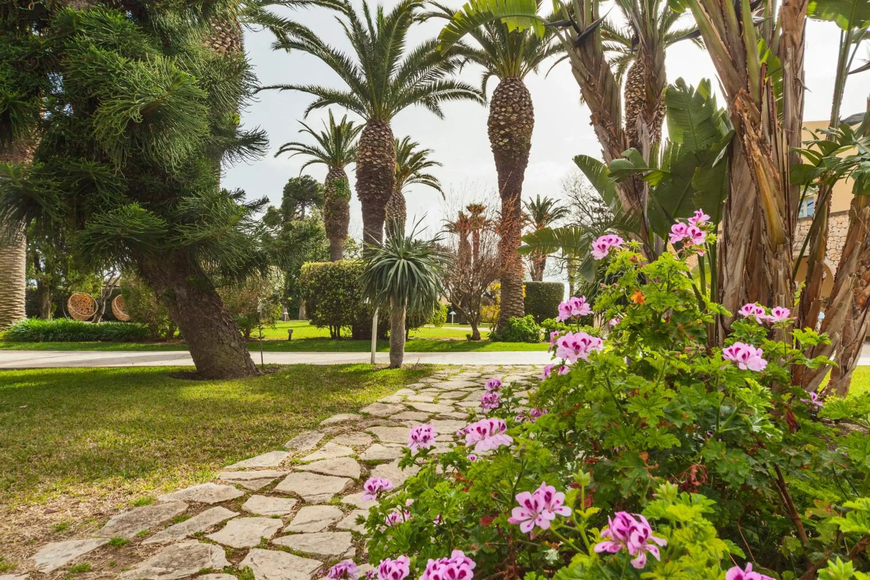 Garden in Hotel Caiammari