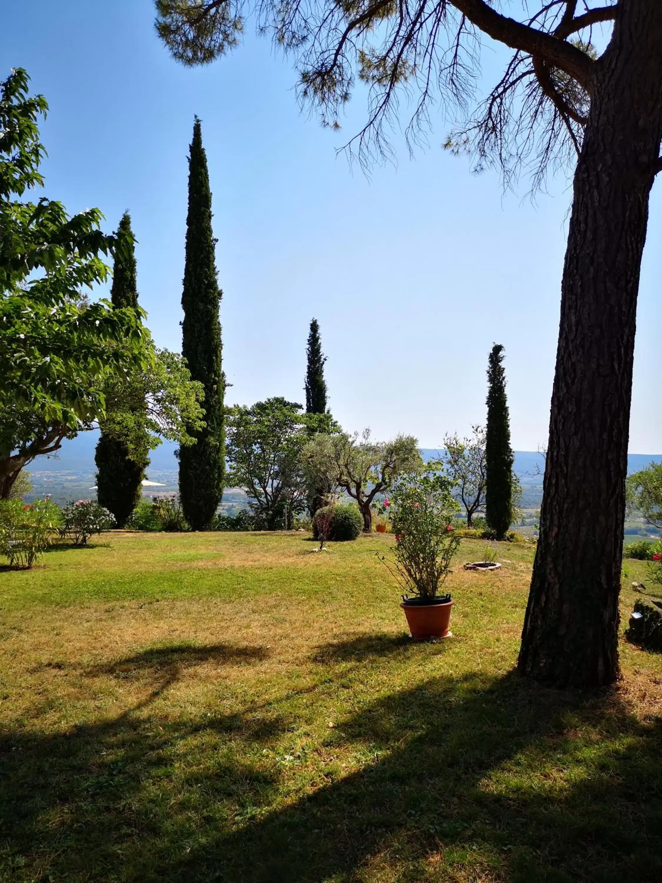 Garden in La Bastide du Limon