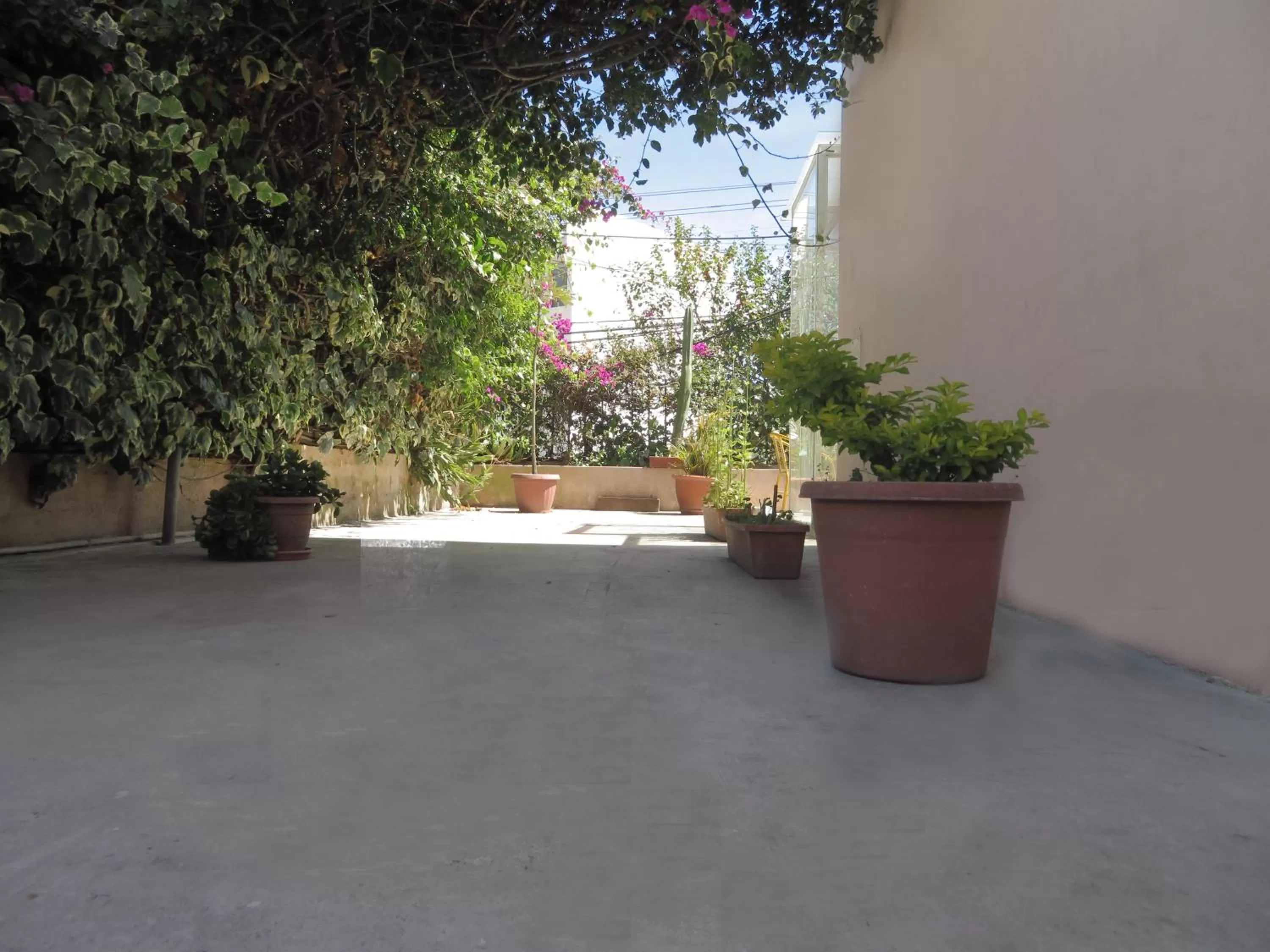 Patio in Bird Garden Guest House