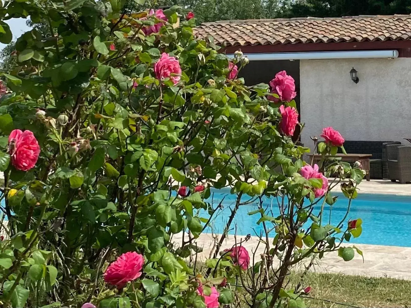 Pool View in Le Relais d'Affiac