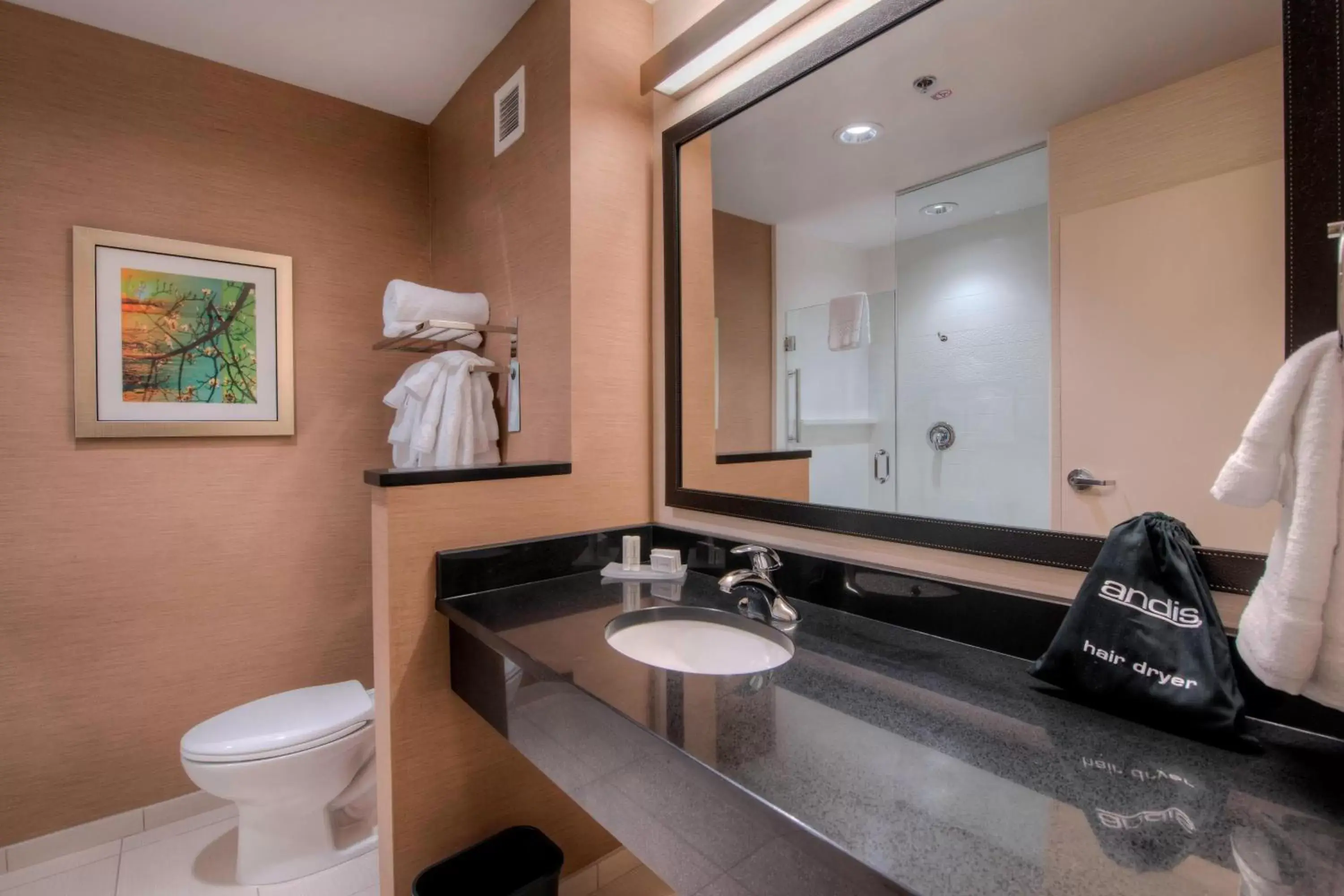 Bathroom in Fairfield Inn & Suites by Marriott Charlotte Airport