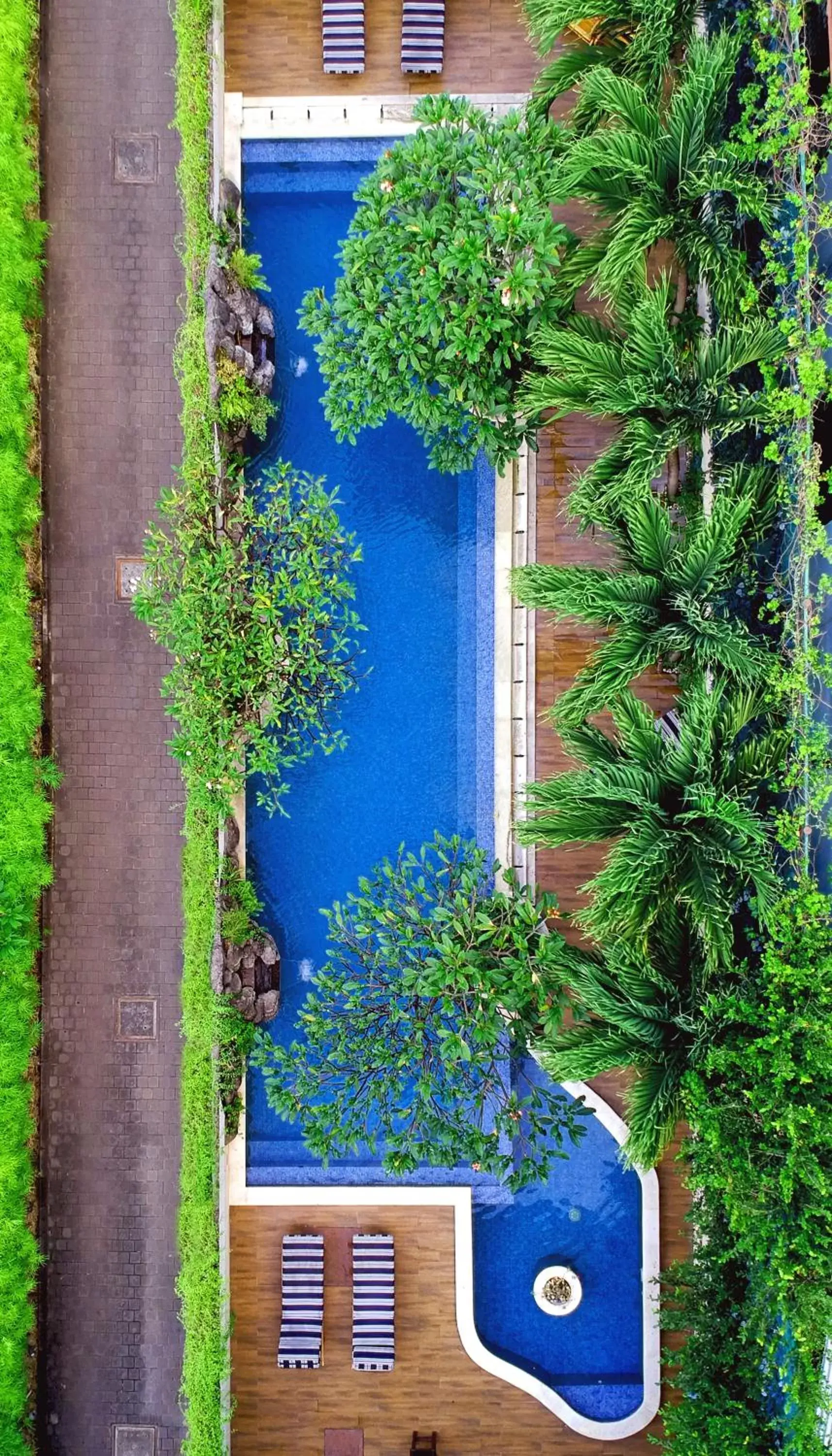 Swimming pool, Pool View in Rhadana Hotel