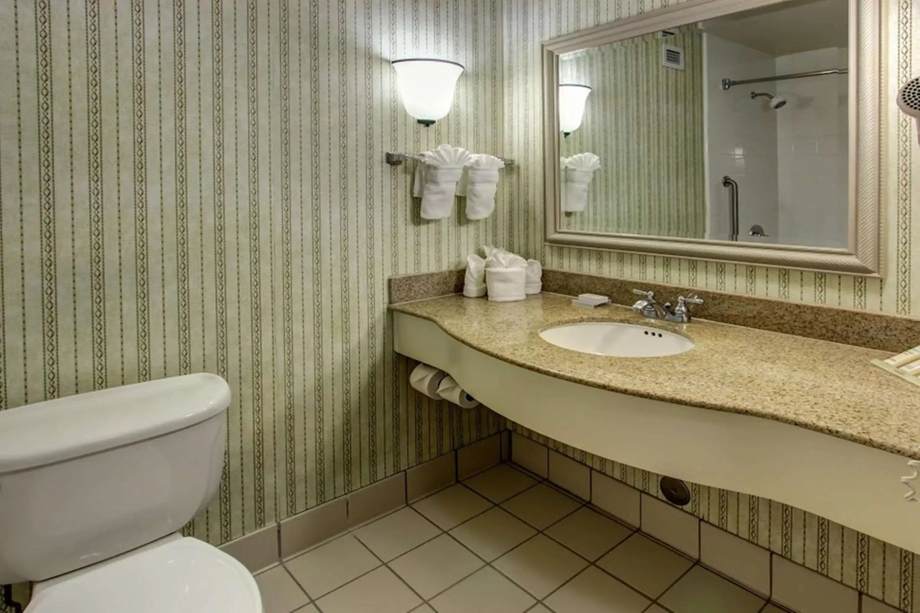 Bathroom in Hilton Garden Inn Williamsburg