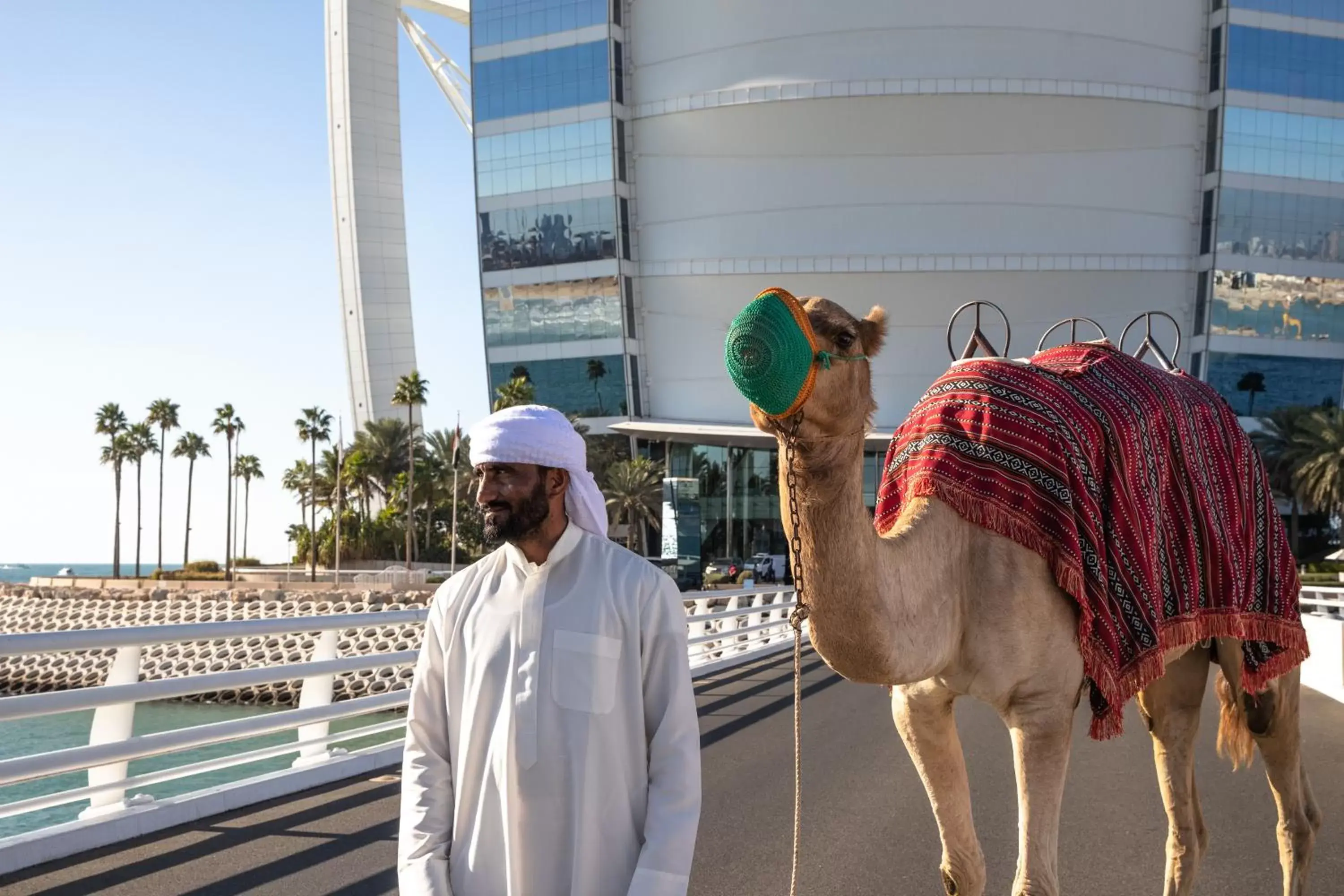 Animals in Burj Al Arab Jumeirah