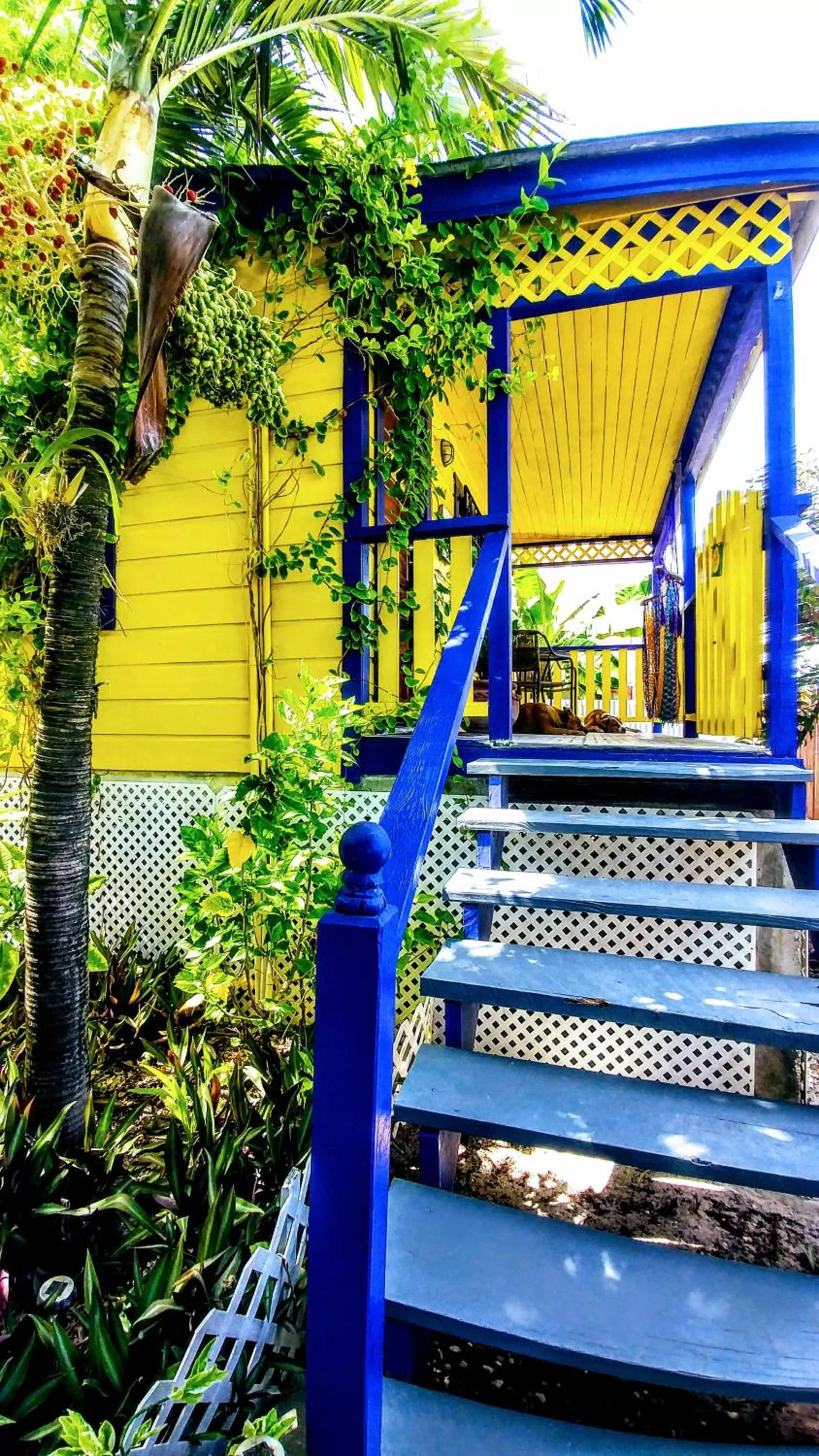 Property building in Yocamatsu