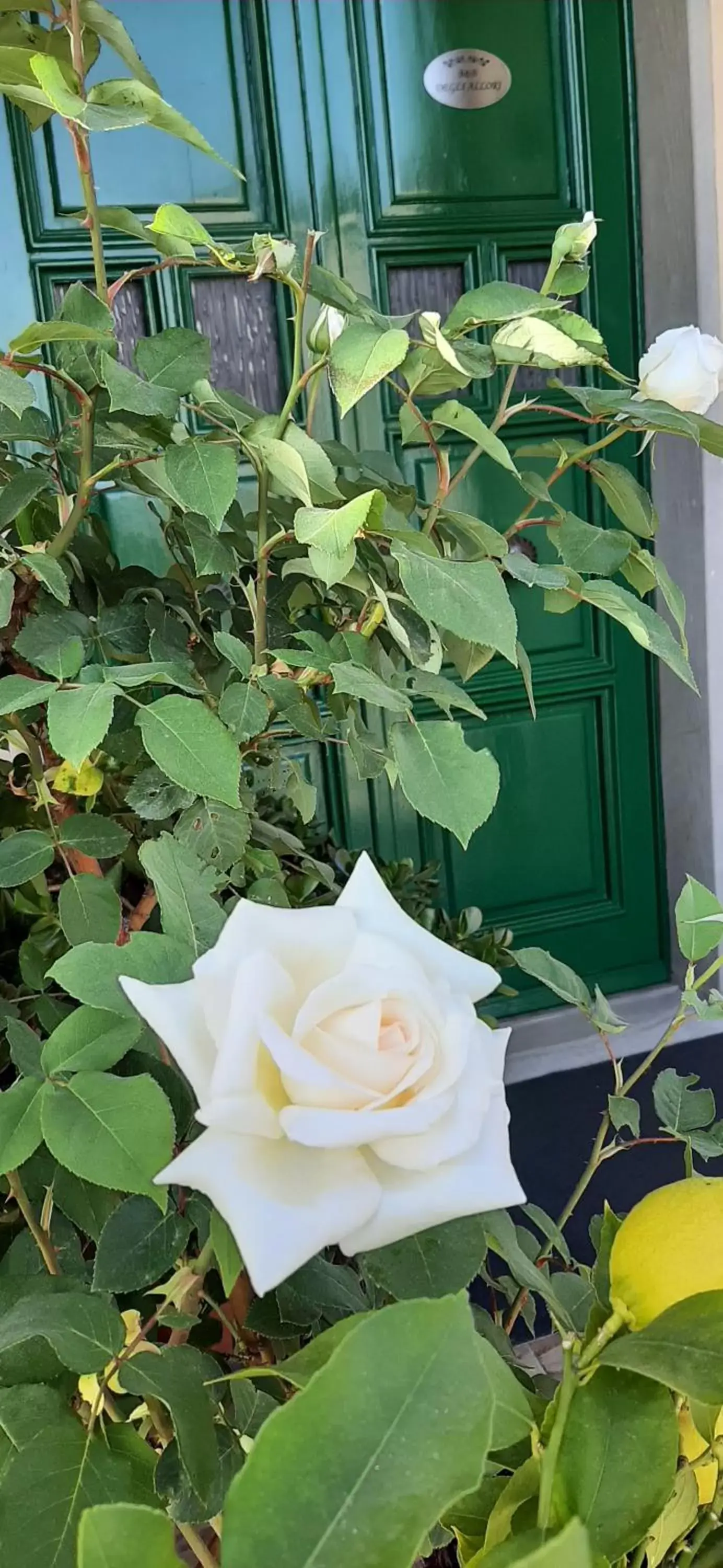 Facade/entrance in B&B degli Allori