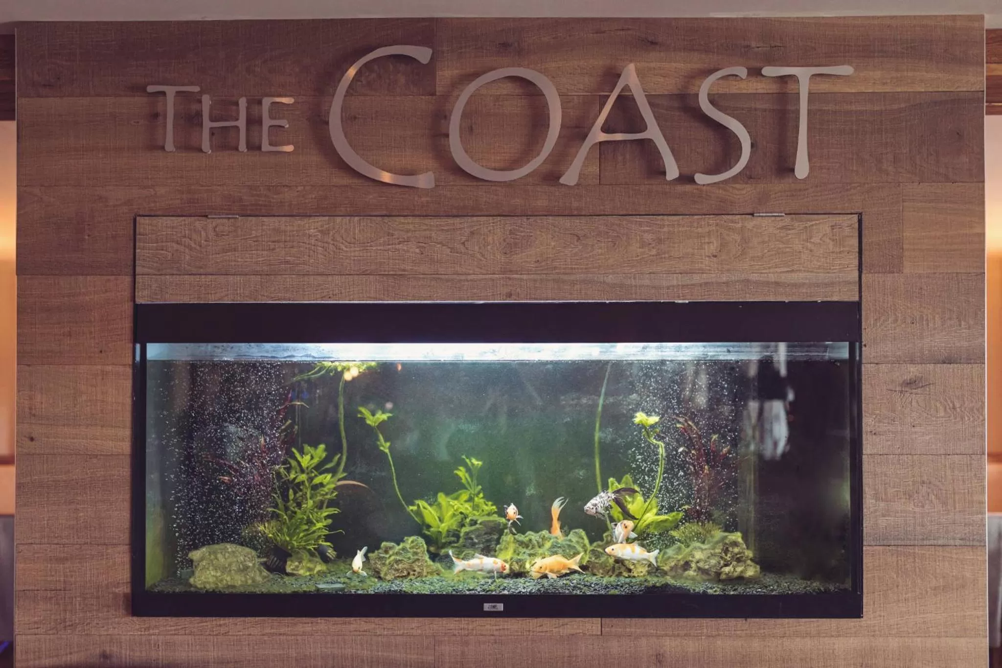 Restaurant/places to eat in The Dunes Hotel