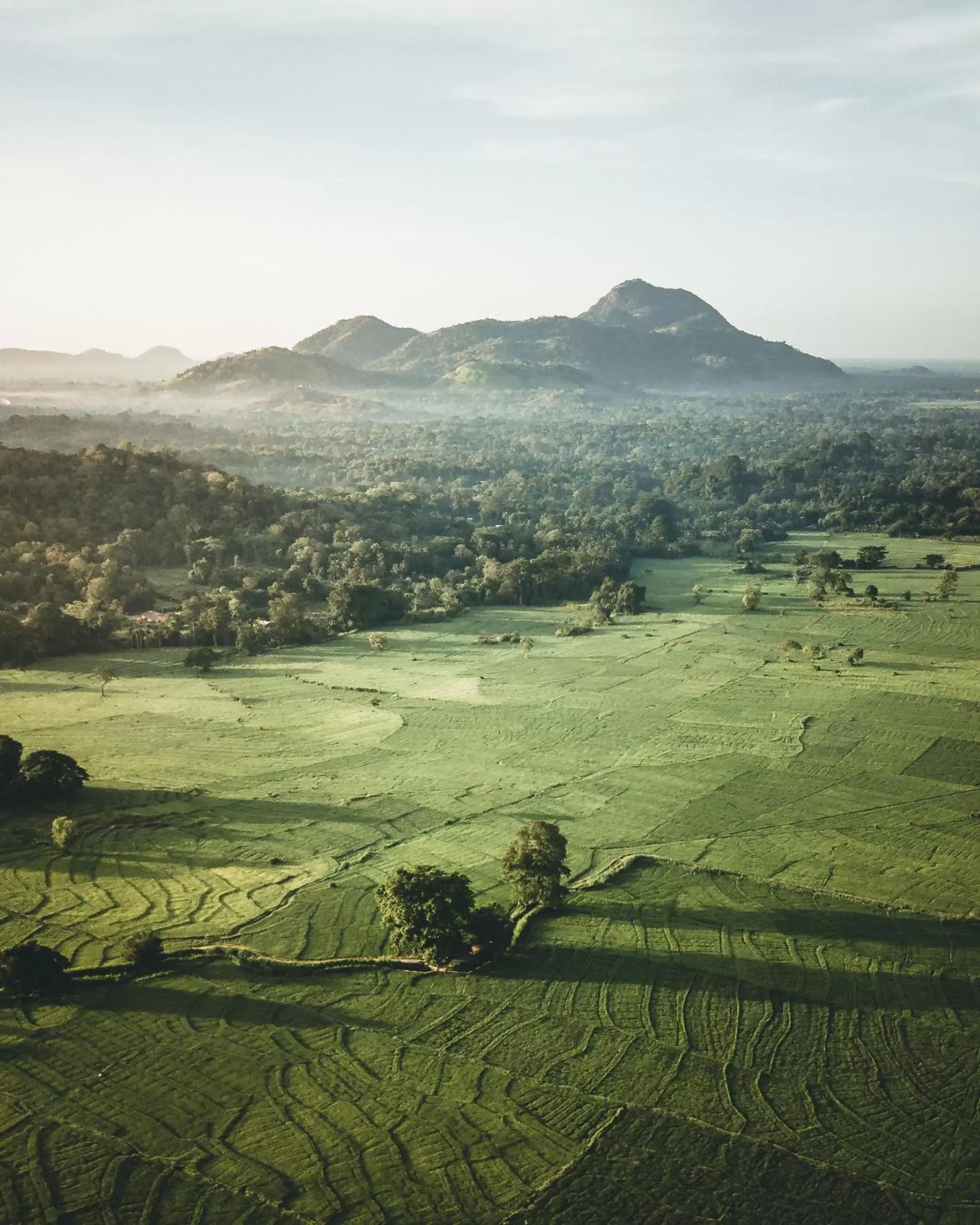 Natural landscape in Jetwing Kaduruketha