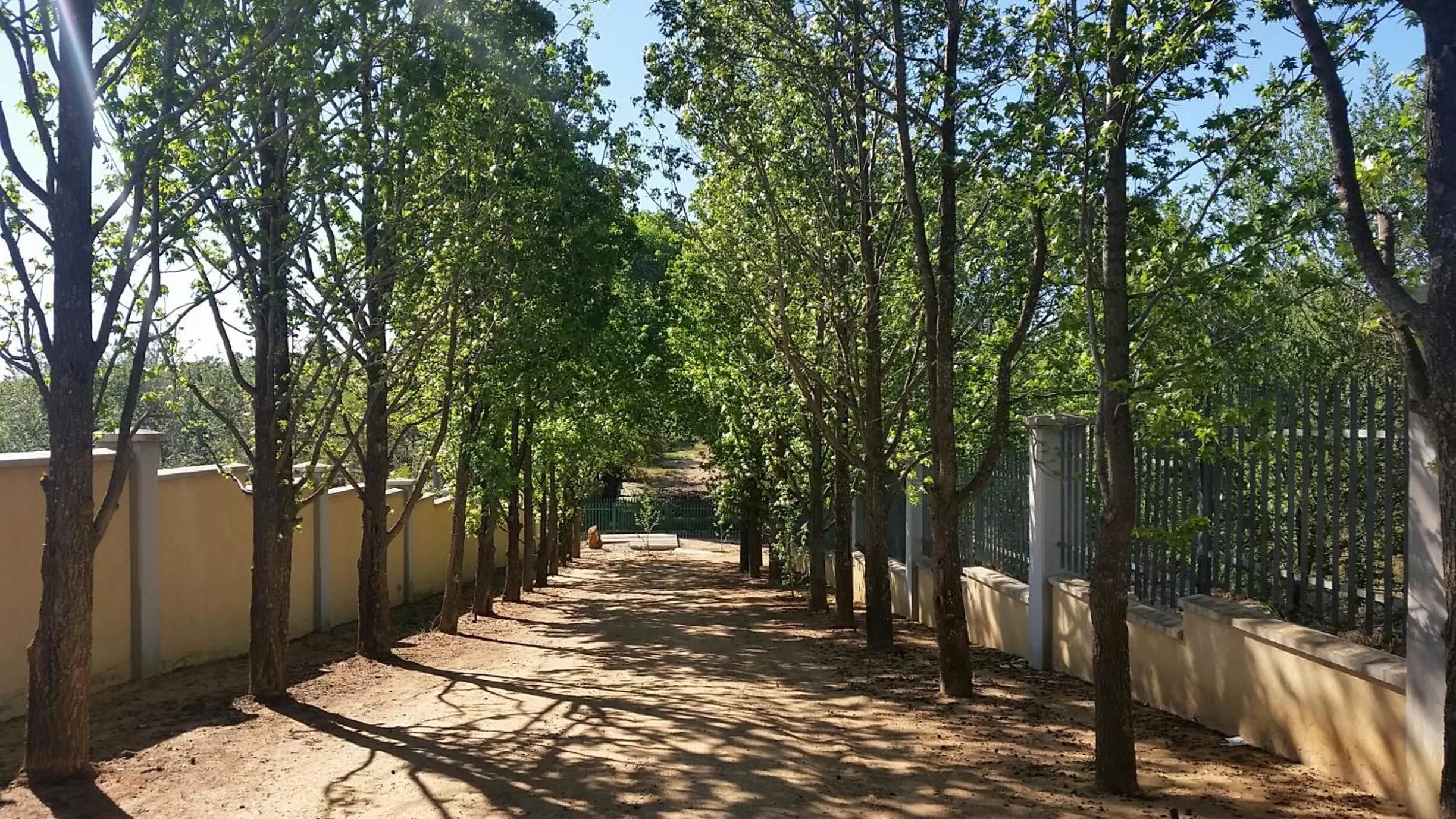 Property building in Amberhall Guesthouse