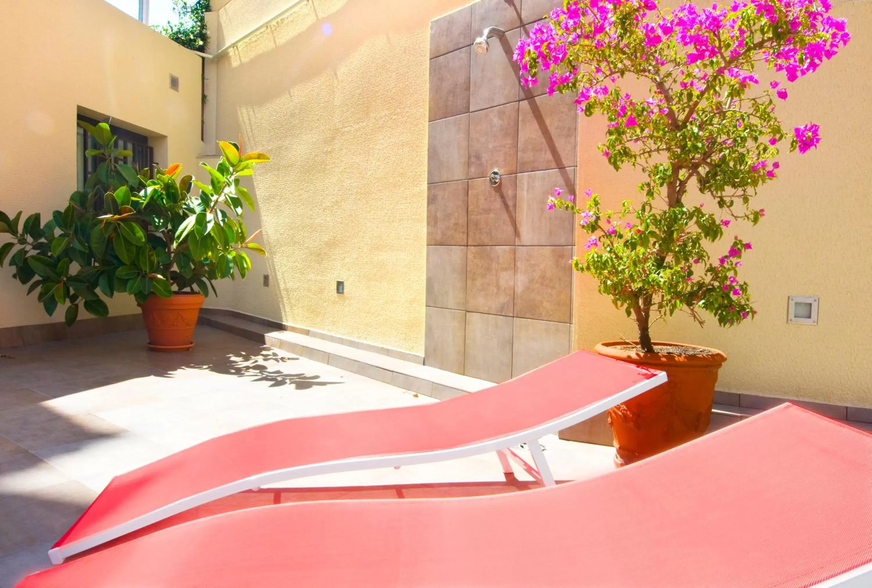 Balcony/Terrace in Hotel Ciutat De Sant Adria