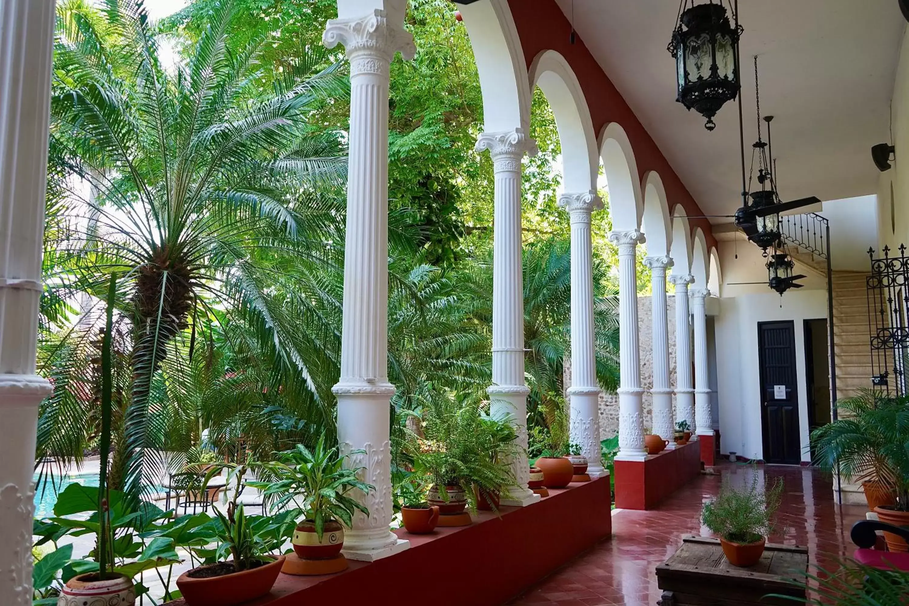 Garden view in Villa Merida Boutique Hotel