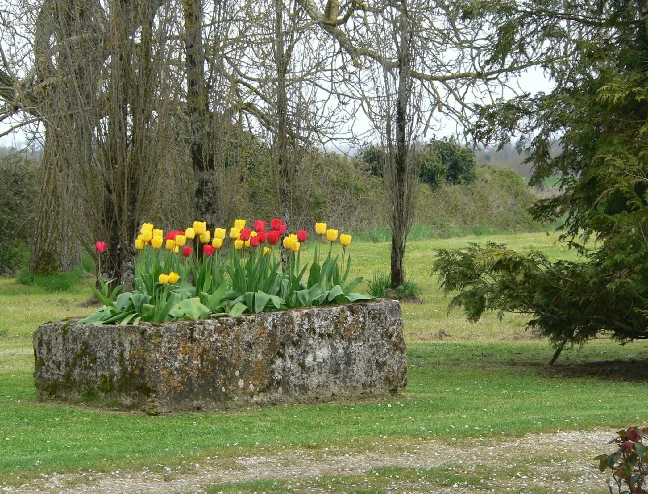 Natural landscape, Garden in La Bribaudonnière