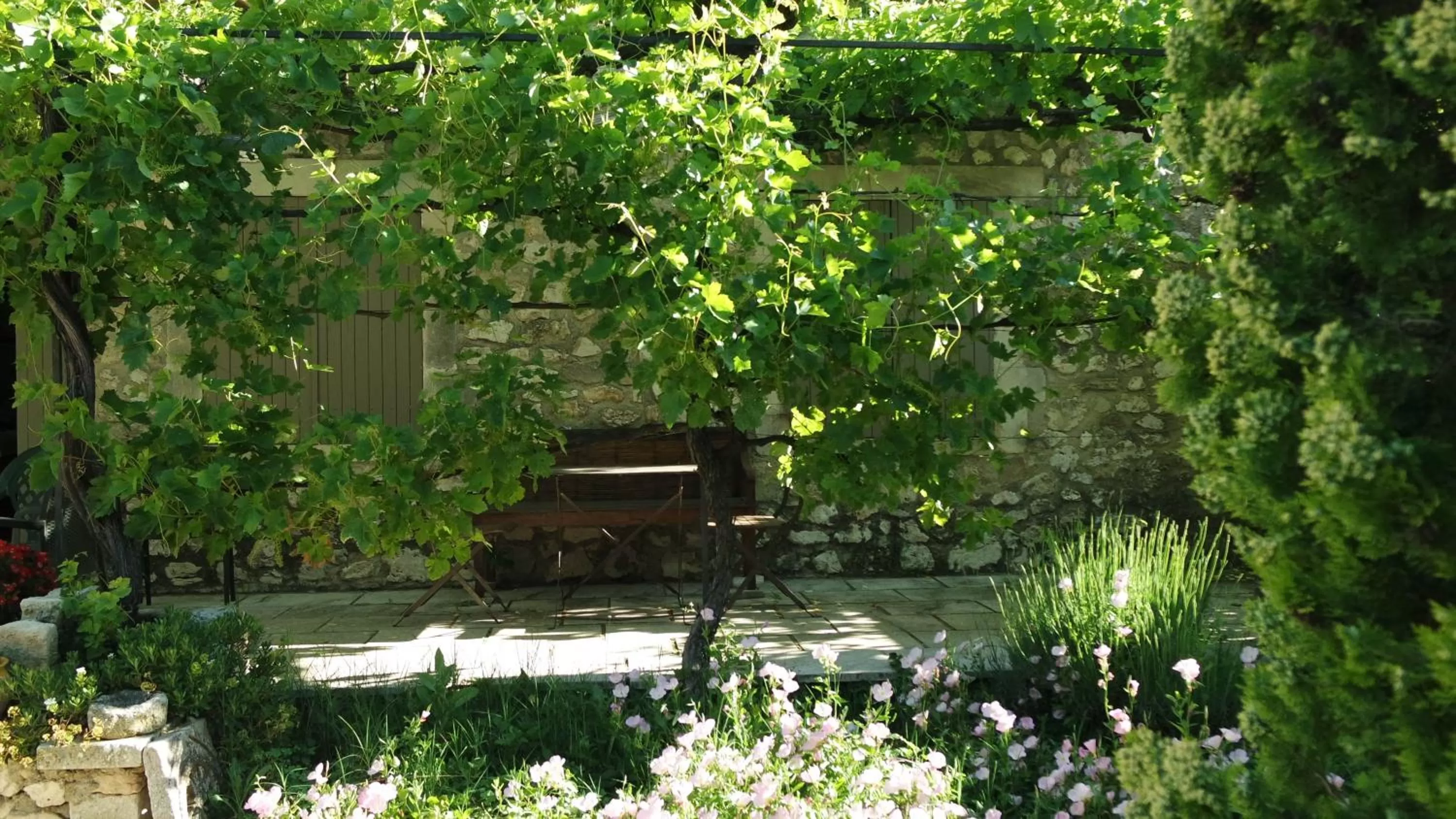 Patio in Mas Grimaud - Gîte- Studio et chambres d'hôtes familiales
