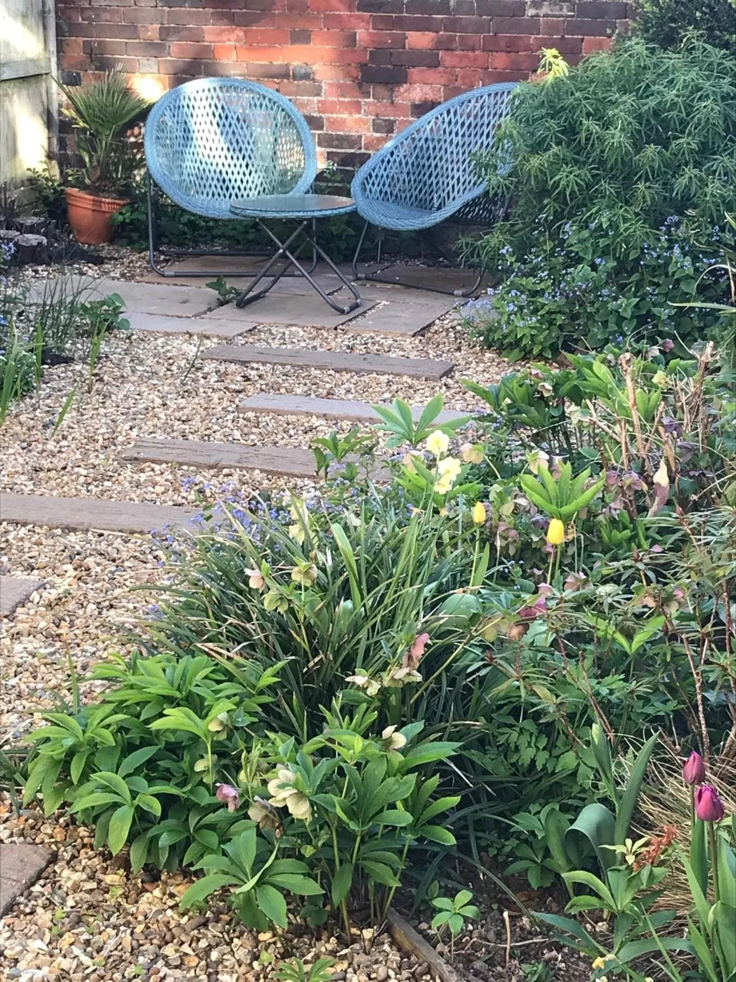 Garden in Garden Studio