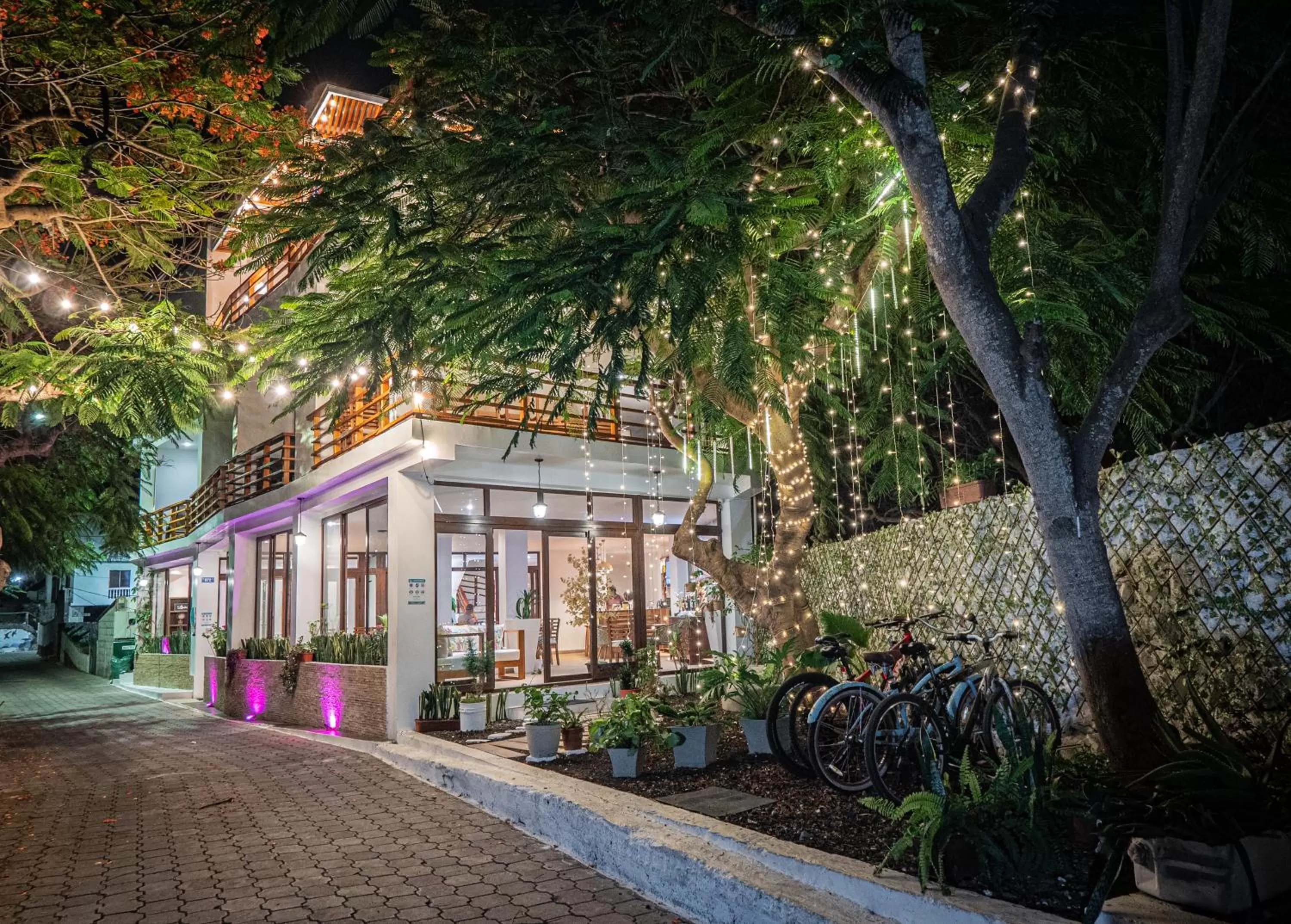 Patio in Hotel La Isla