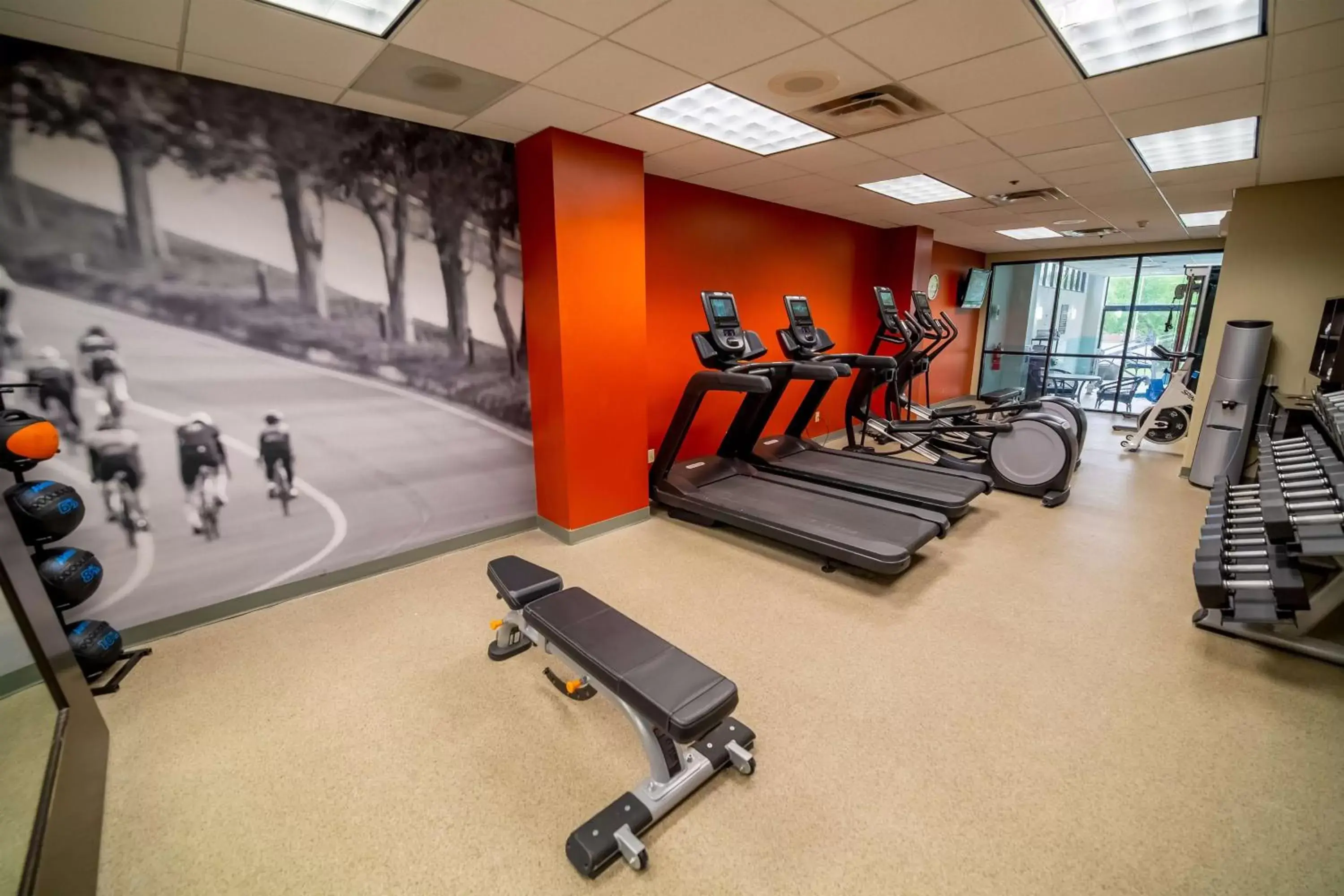 Fitness centre/facilities, Fitness Center/Facilities in Embassy Suites by Hilton Kansas City Overland Park