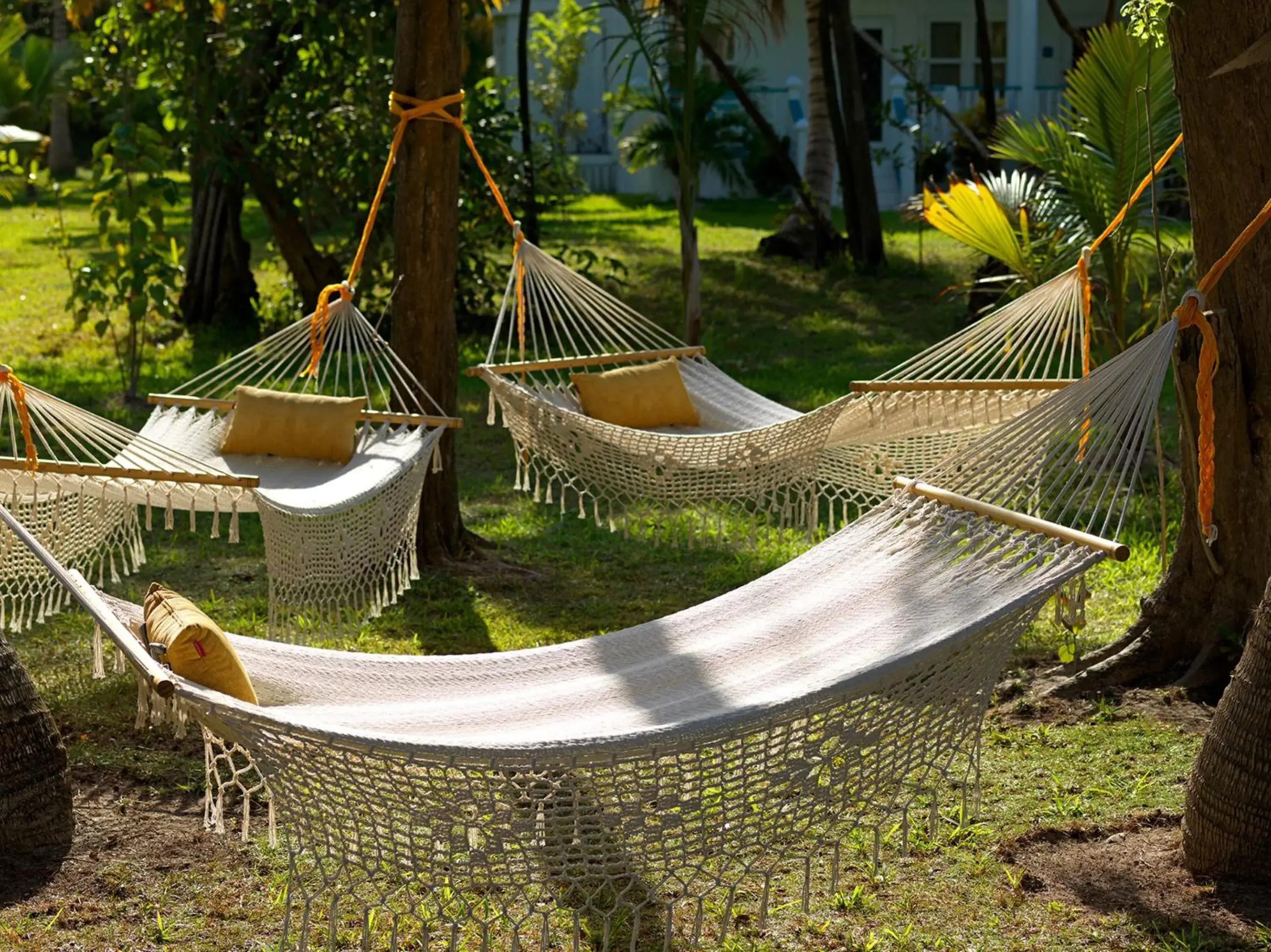 Garden in Margaritaville Beach Resort Ambergris Caye - Belize