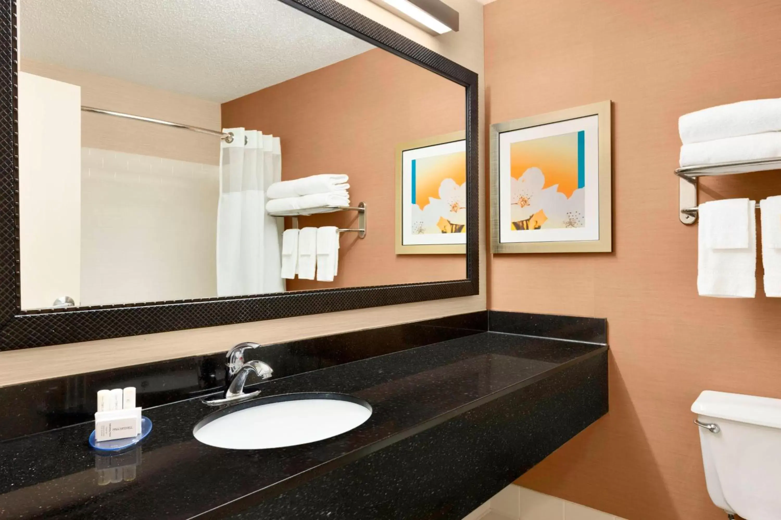 Bathroom in Fairfield Inn & Suites Oklahoma City Quail Springs/South Edmond