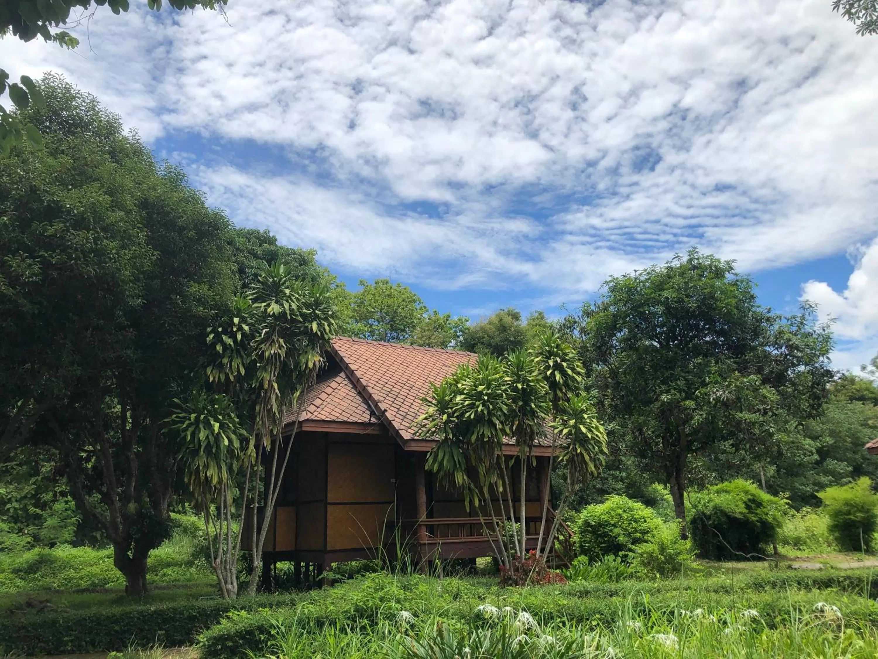 Natural landscape in Baan Krating Pai Resort - SHA Plus