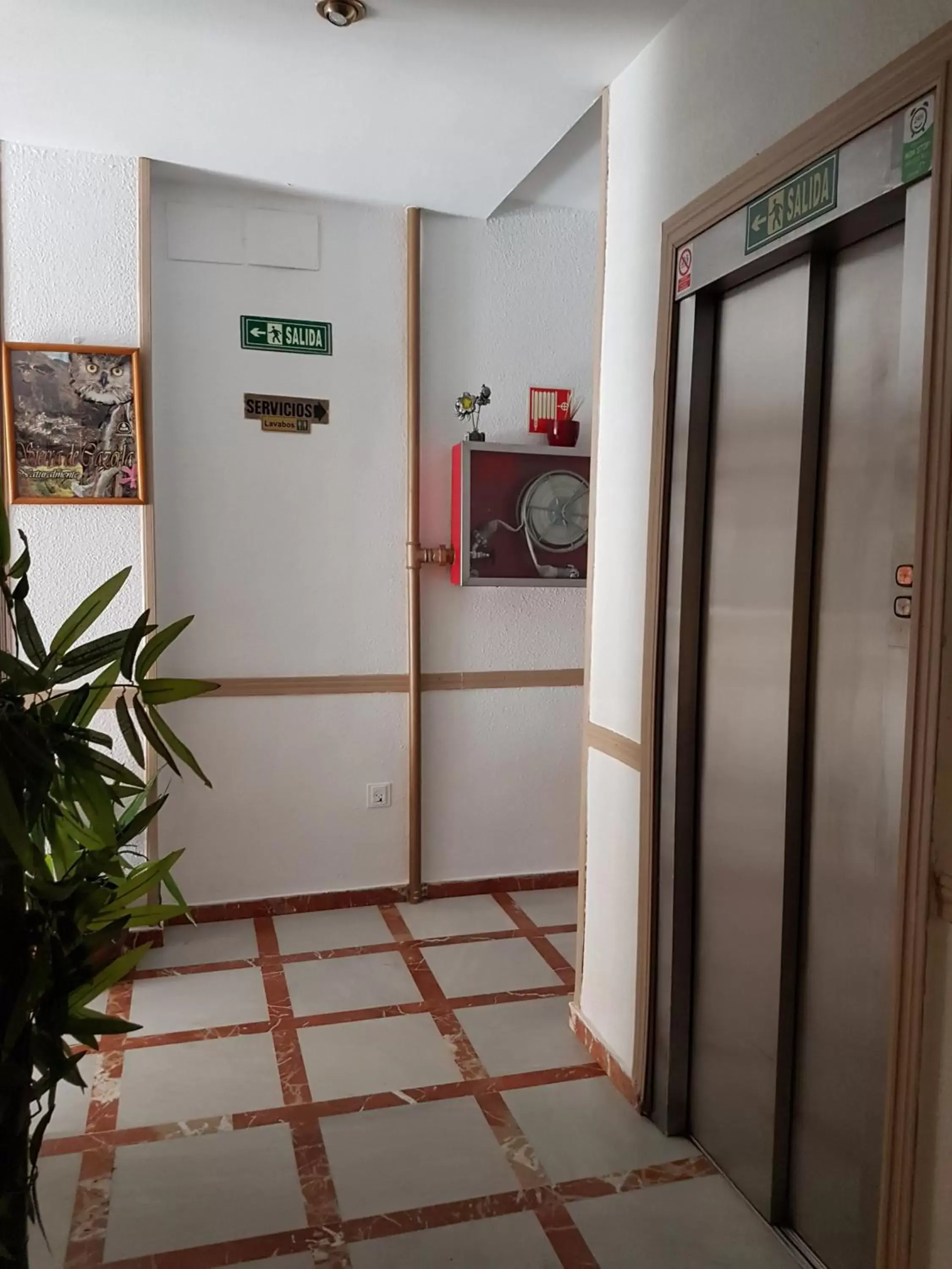 Area and facilities, Lobby/Reception in Hotel Al-Ándalus, en Cazorla Comarca