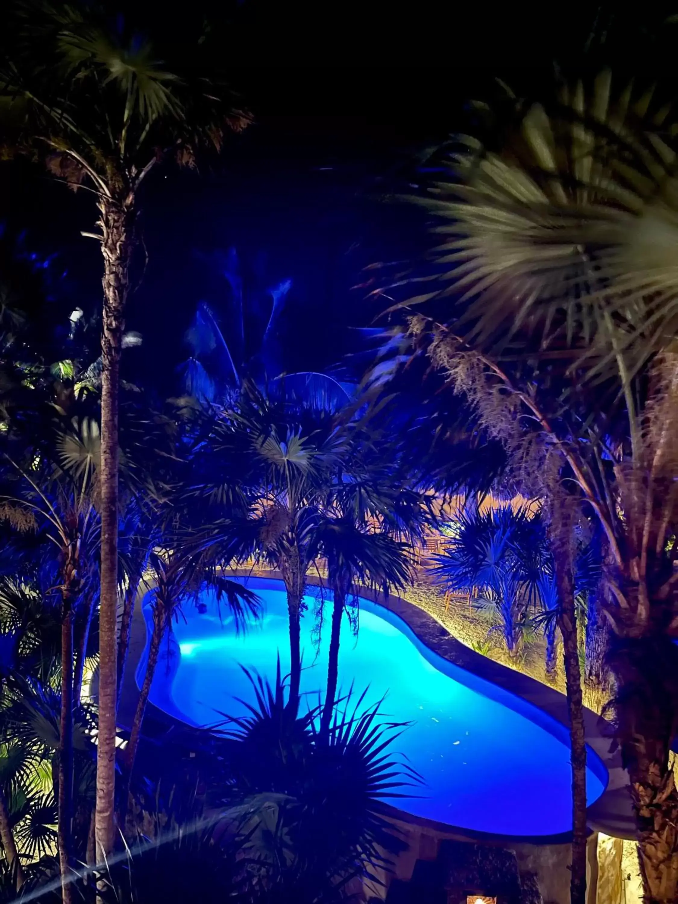 Pool View in Sueños Tulum