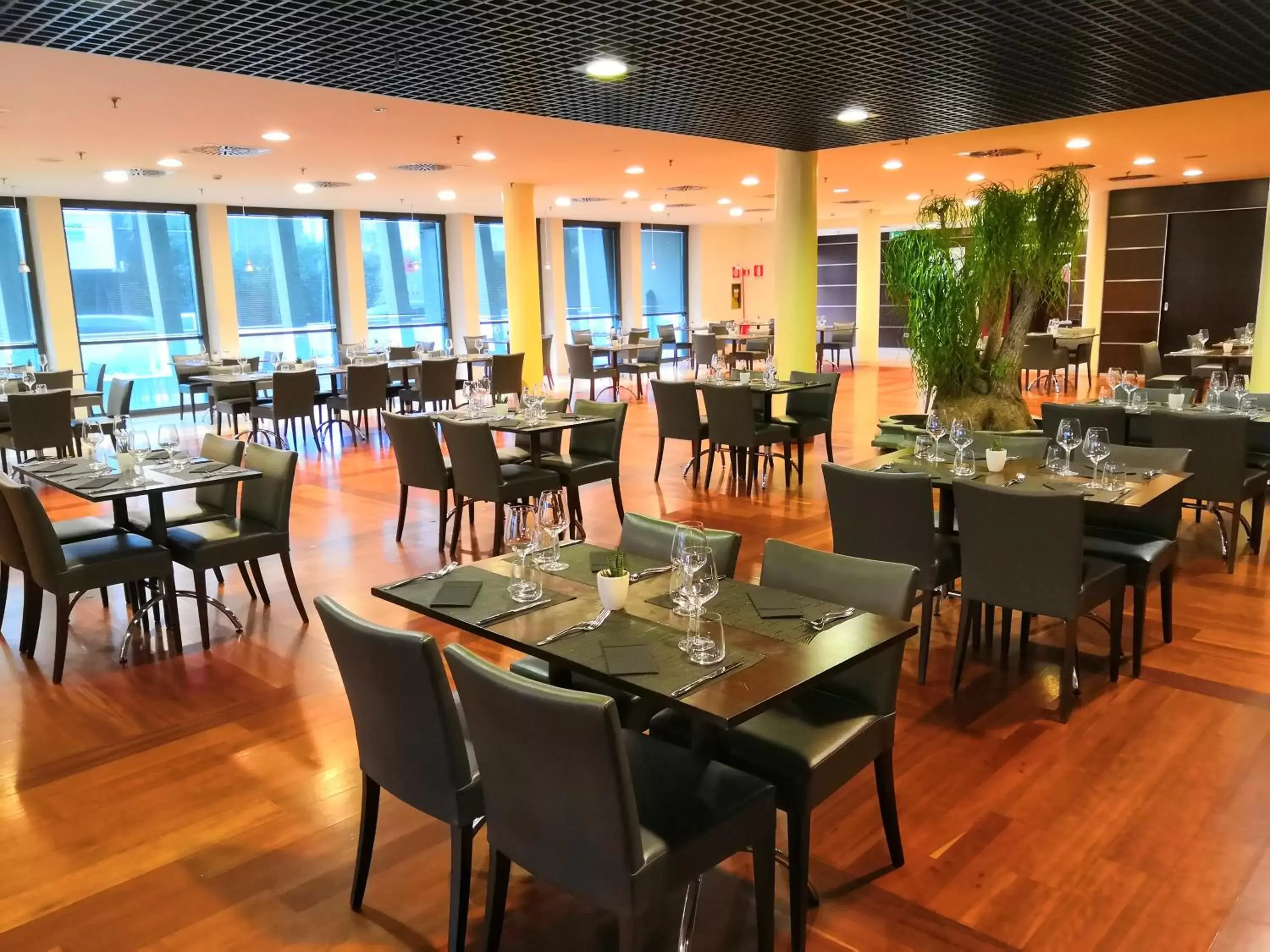 Restaurant/Places to Eat in Mercure Leonardo da Vinci Rome Airport