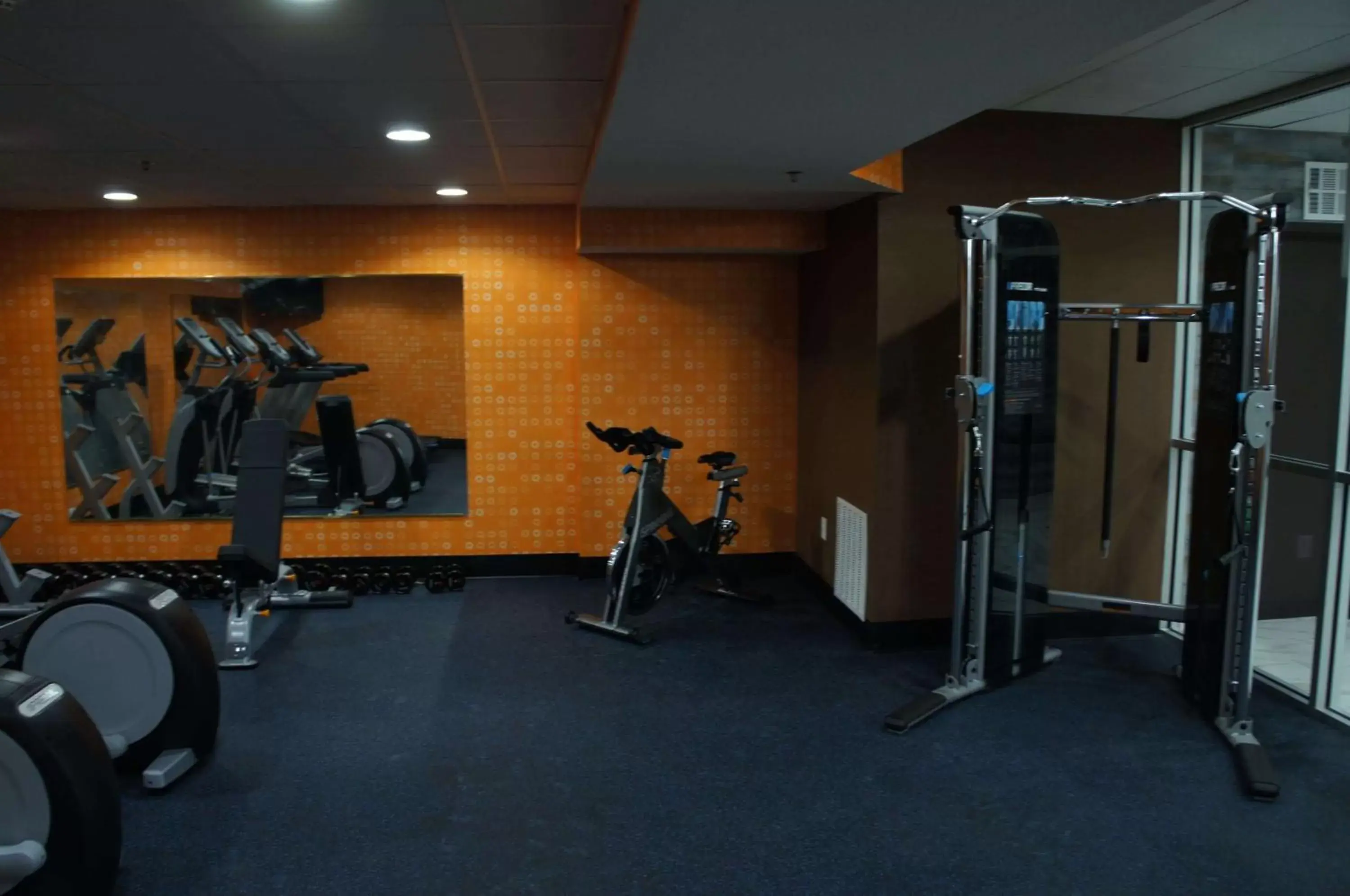 Fitness centre/facilities, Fitness Center/Facilities in La Quinta by Wyndham Branson