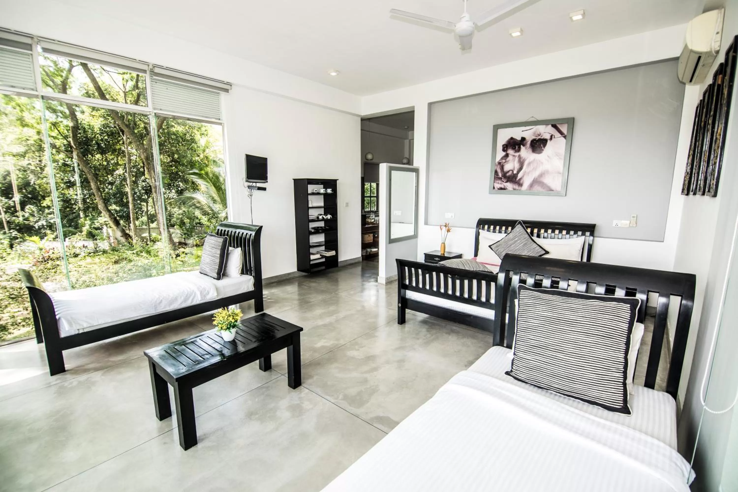 Living room in Ella Planters Bungalow