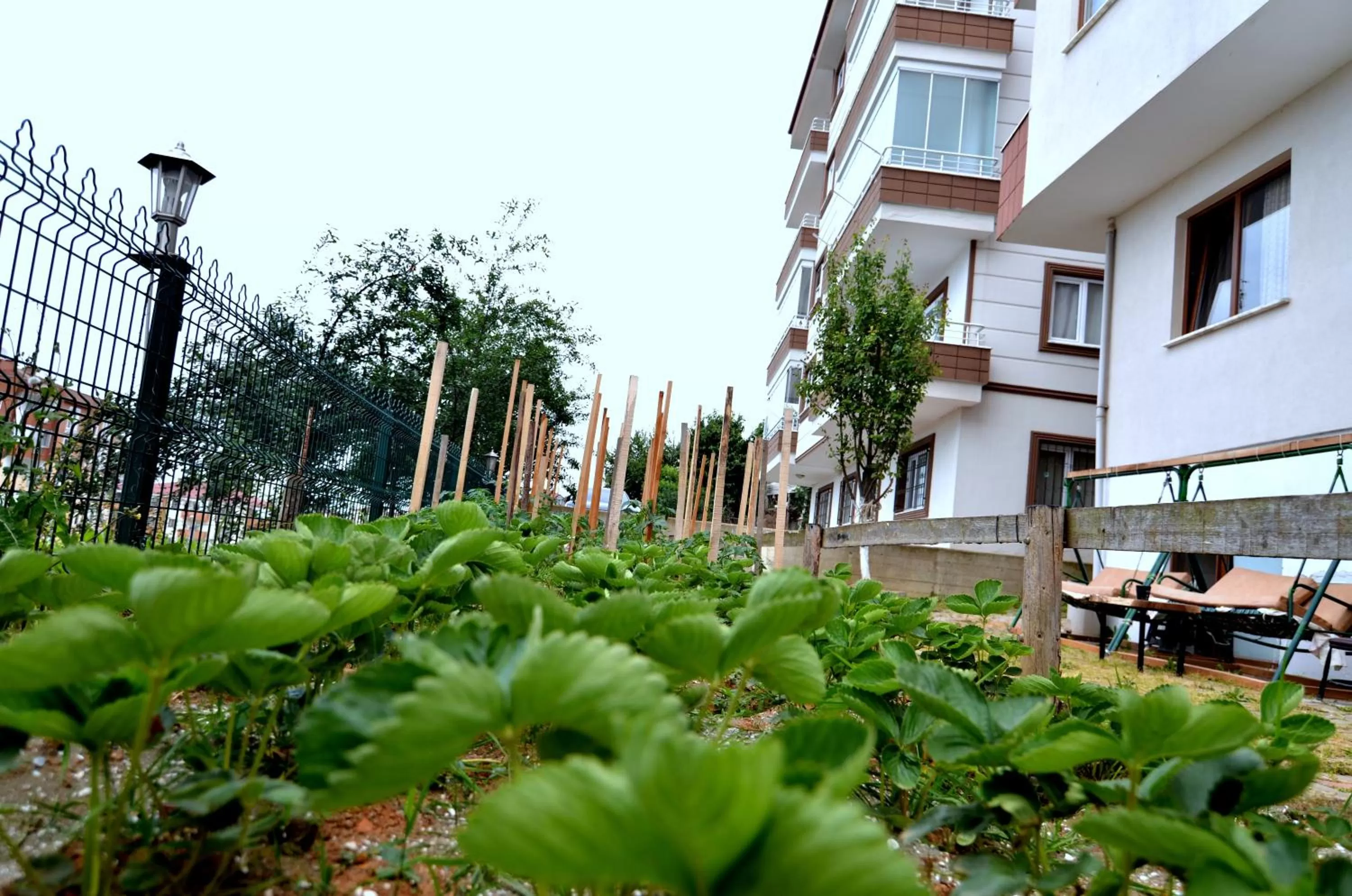 Garden in Konaklar Apart Premium