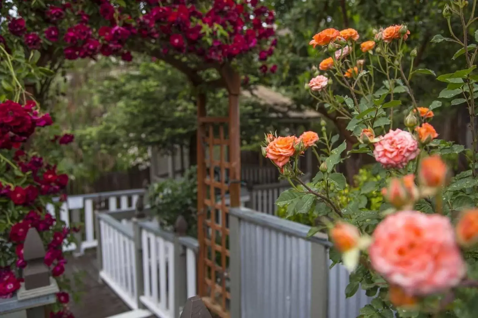 Patio, Balcony/Terrace in ForFriends Inn Wine Country Bed and Breakfast