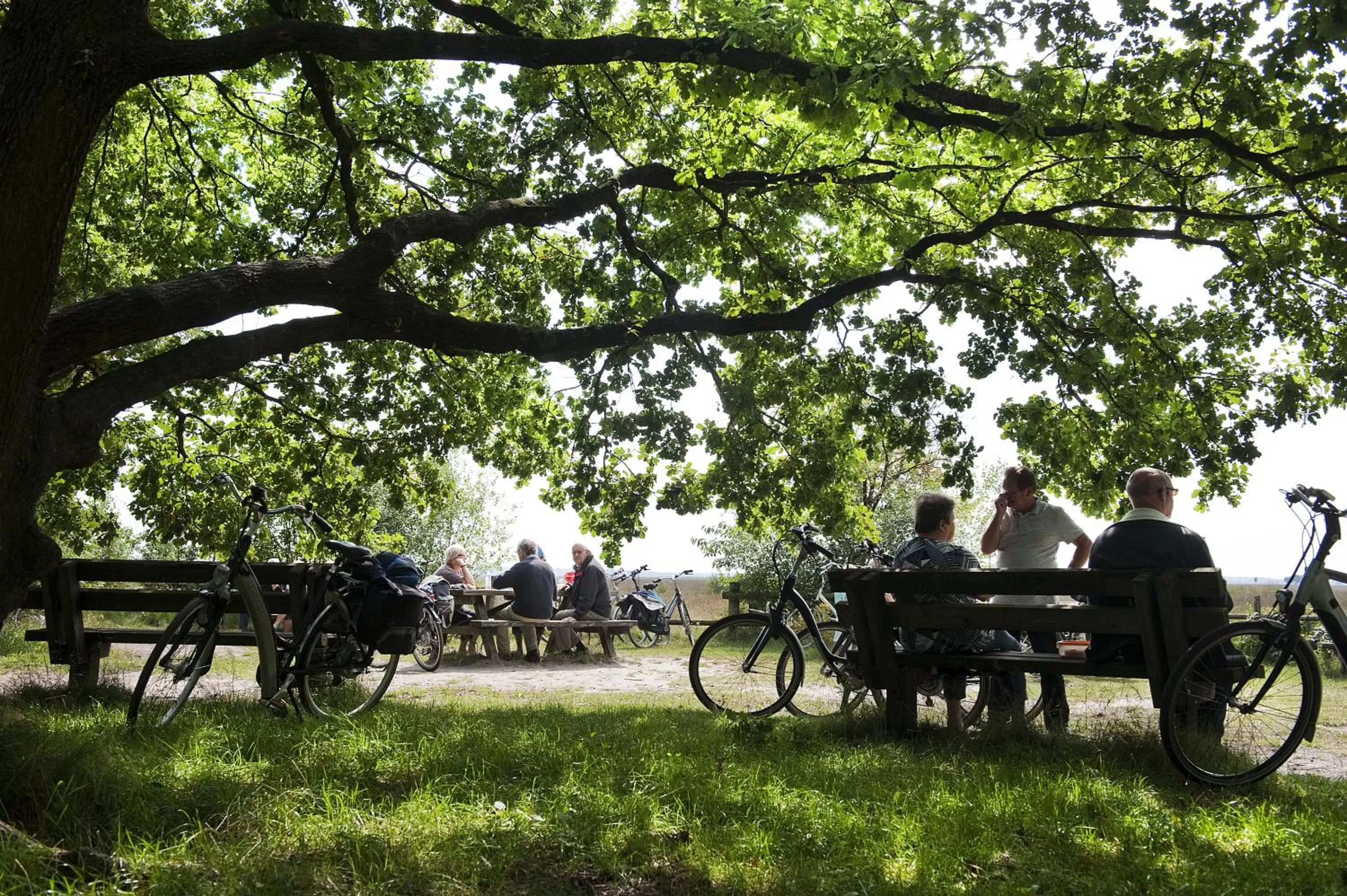 Natural landscape in Hotel Wesseling