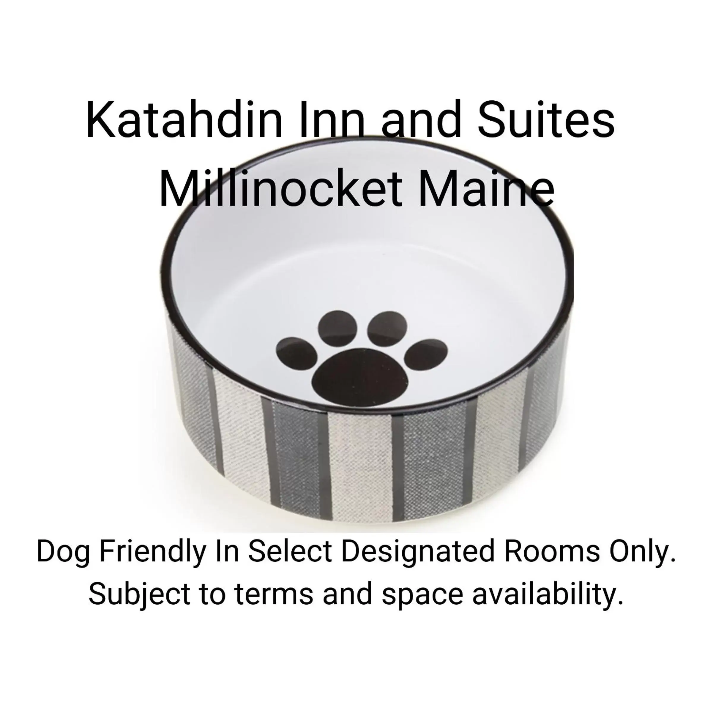 Pets in Katahdin Inn & Suites