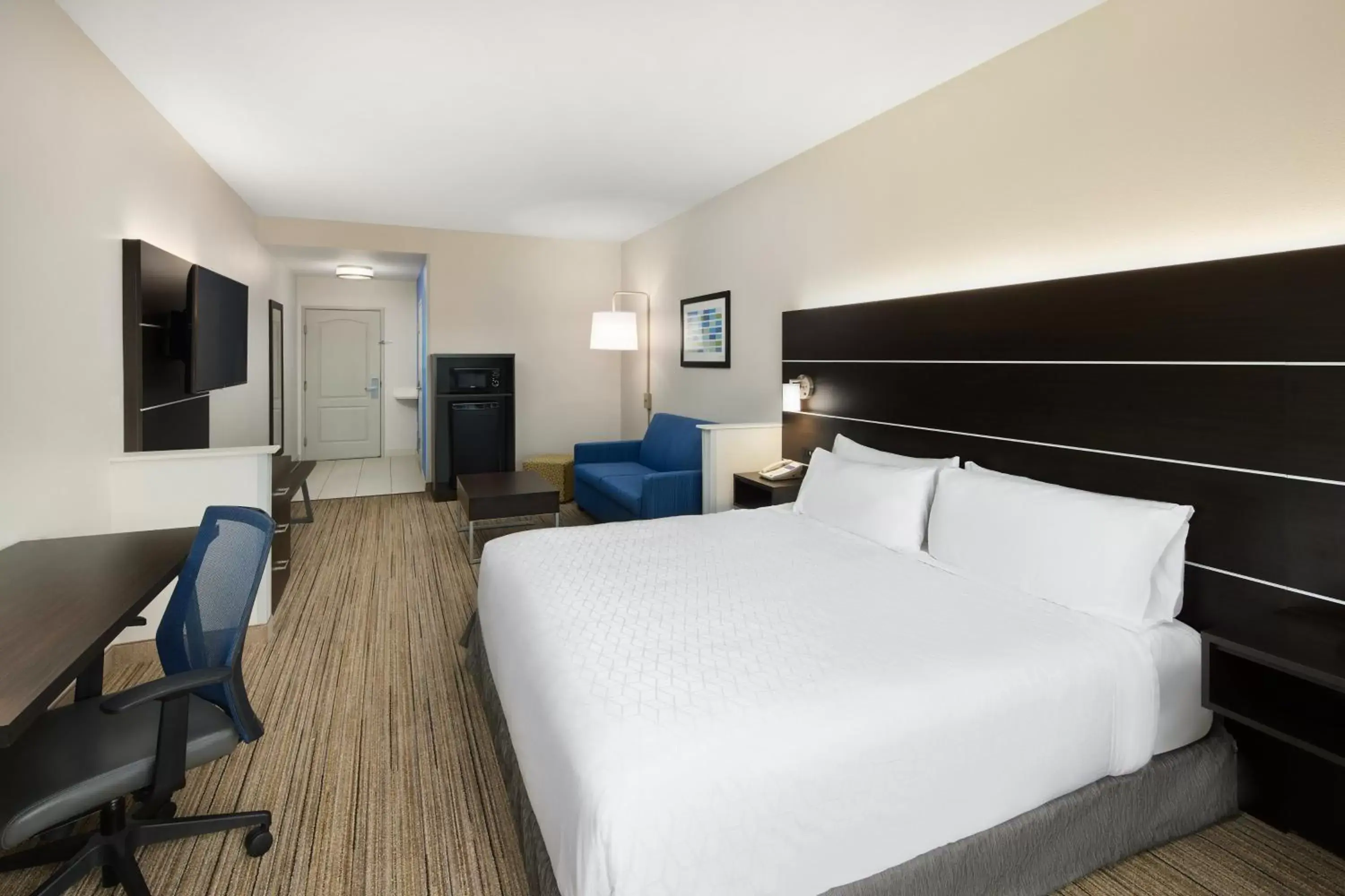 Photo of the whole room in Holiday Inn Express & Suites - Valdosta, an IHG Hotel