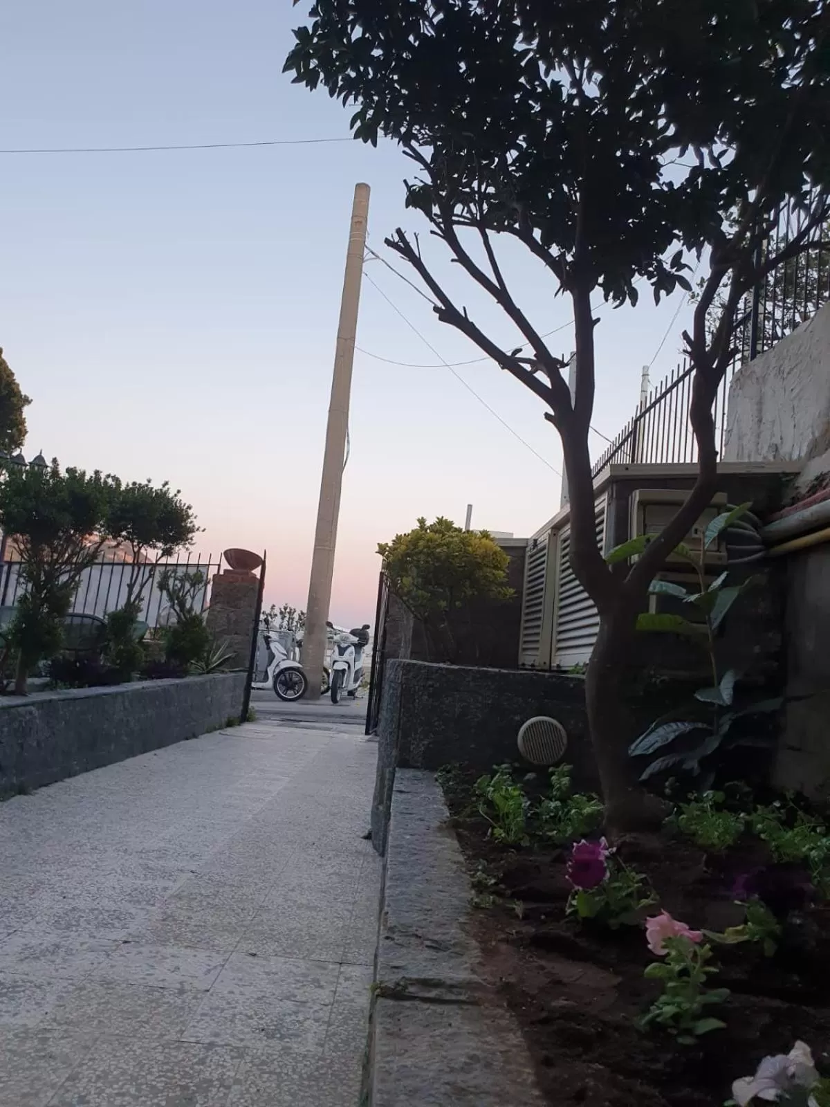 Garden, Property Building in Hotel Mareluna Ischia