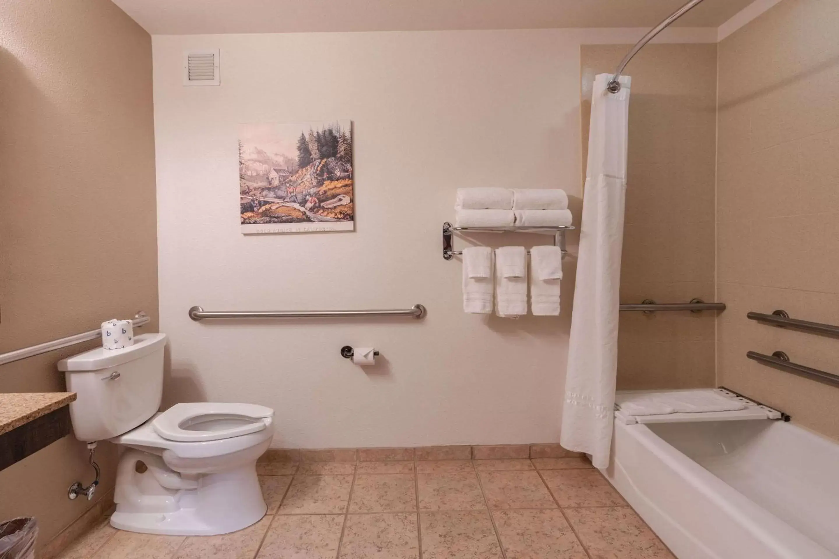 Bathroom in Gold Miners Inn, Ascend Hotel Collection