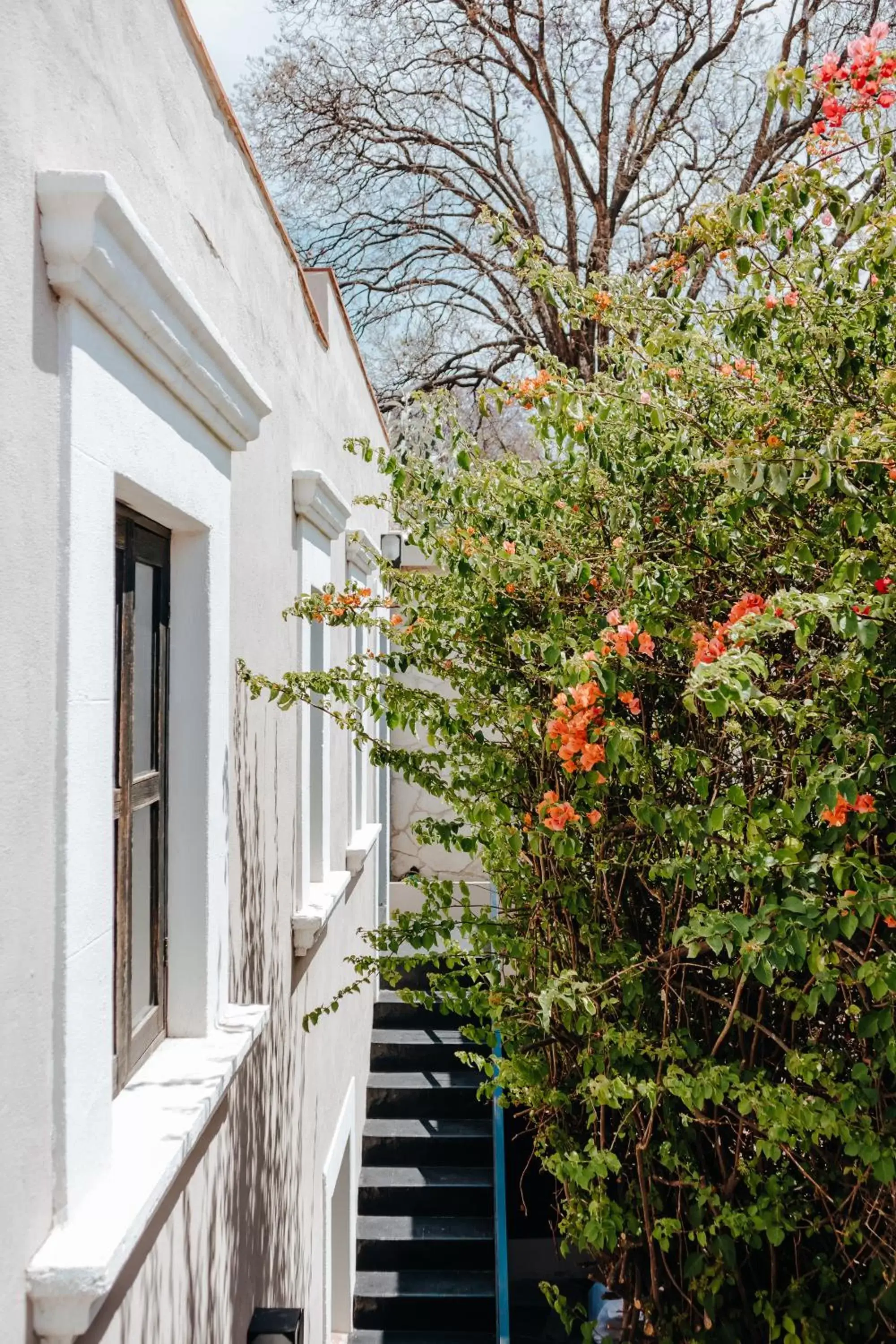 Spring, Property Building in Hotel Maria Bonita