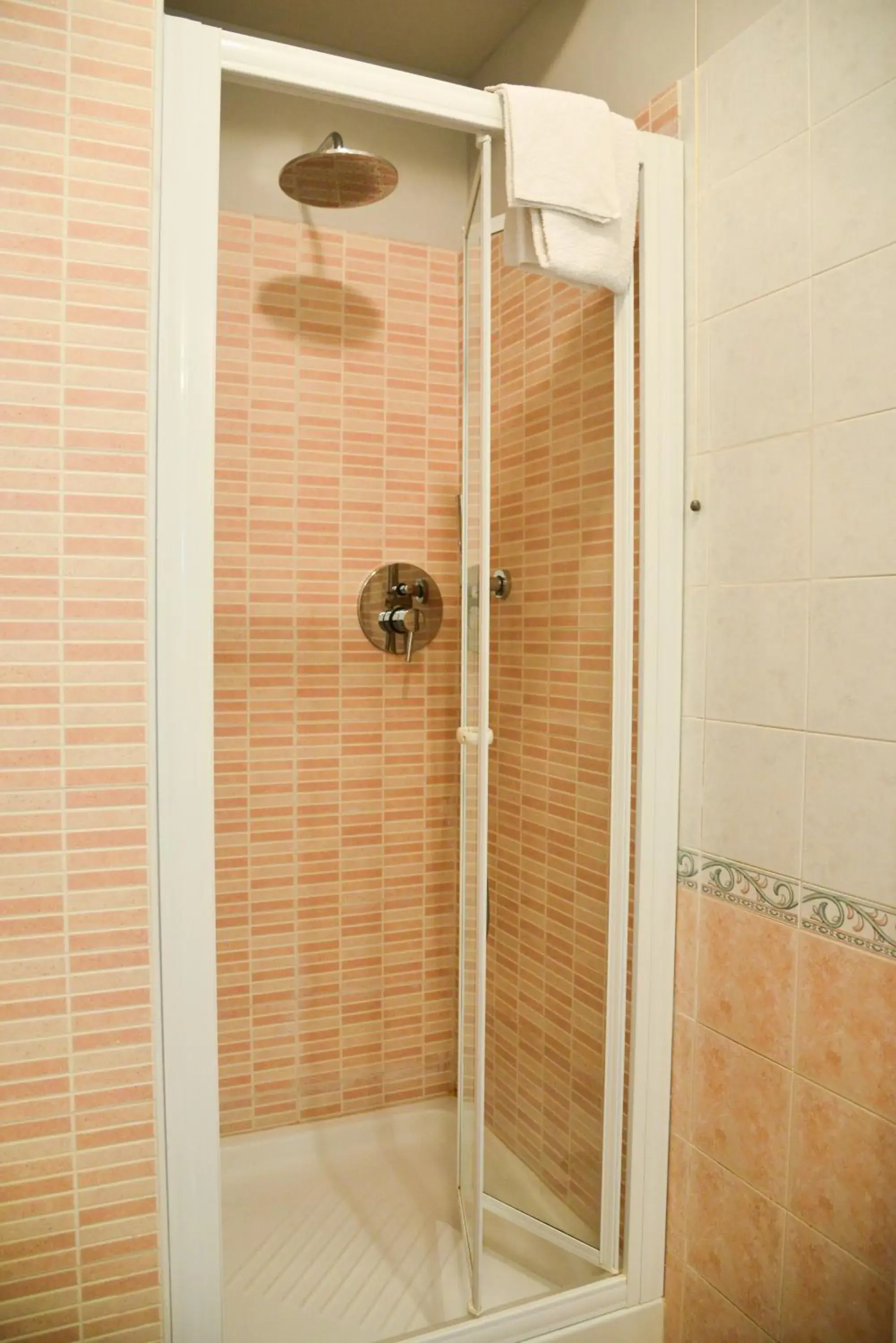 Shower, Bathroom in Hotel Domingo