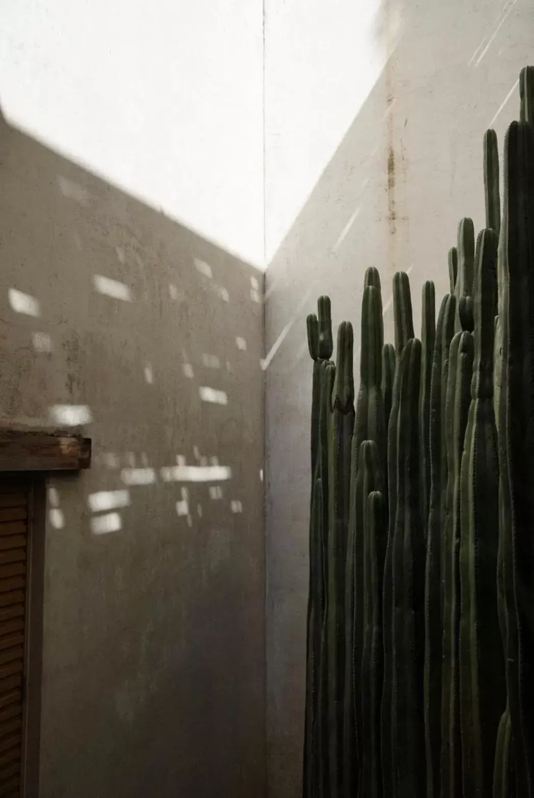 Decorative detail, Bathroom in Casa Carmen Reforma