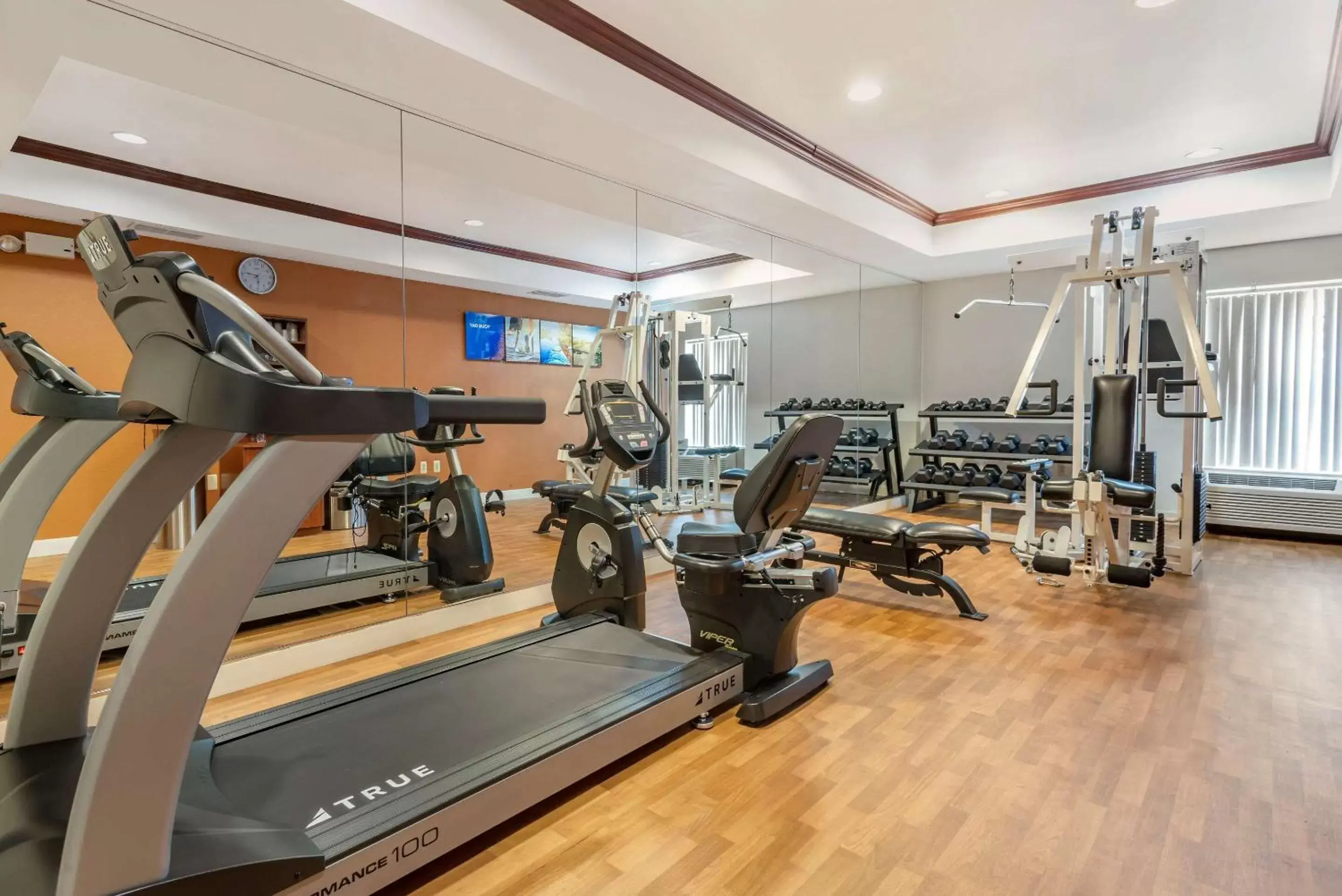 Fitness centre/facilities, Fitness Center/Facilities in Comfort Suites Newark - Harrison