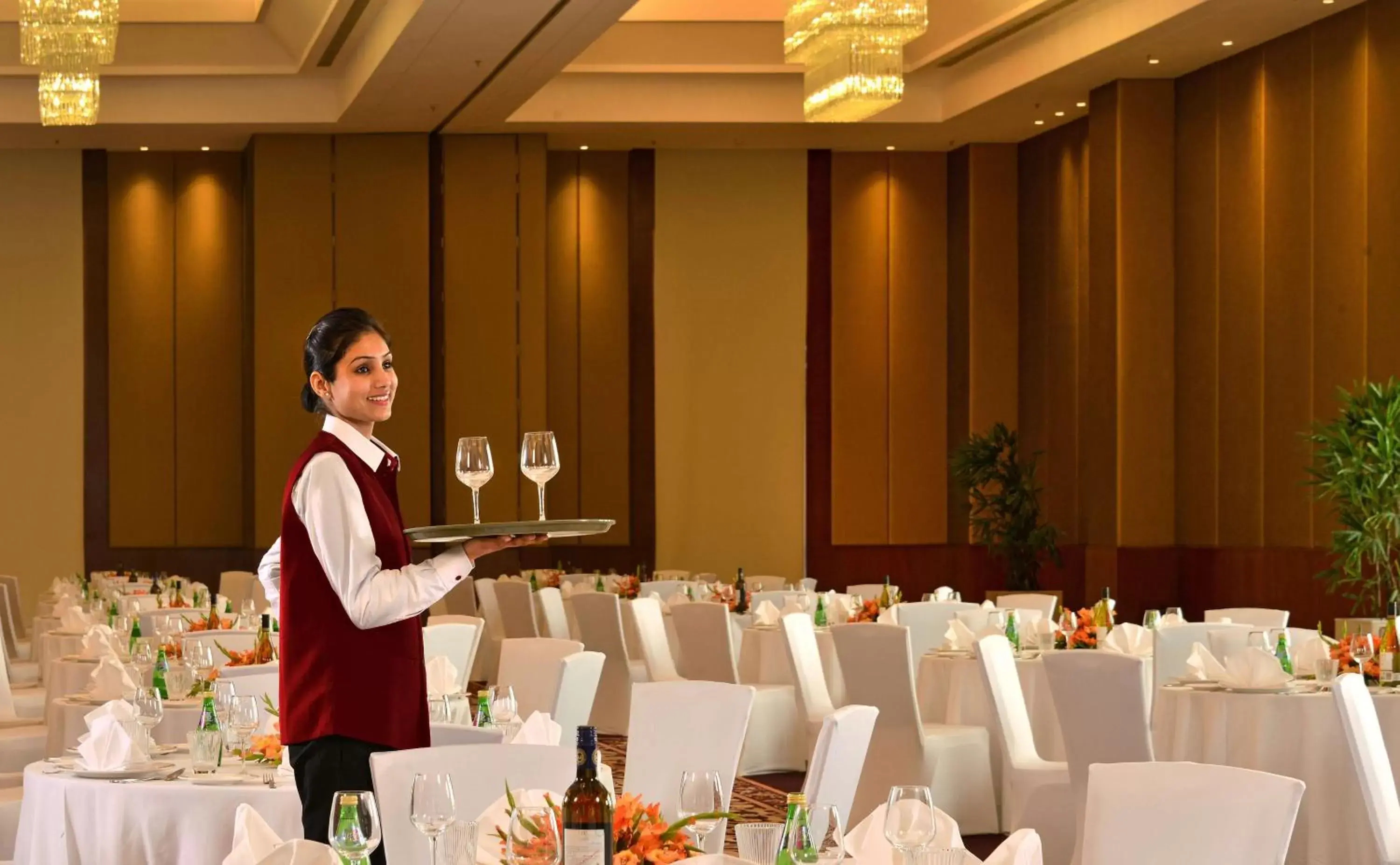 On site, Banquet Facilities in Park Plaza Chandigarh Zirakpur