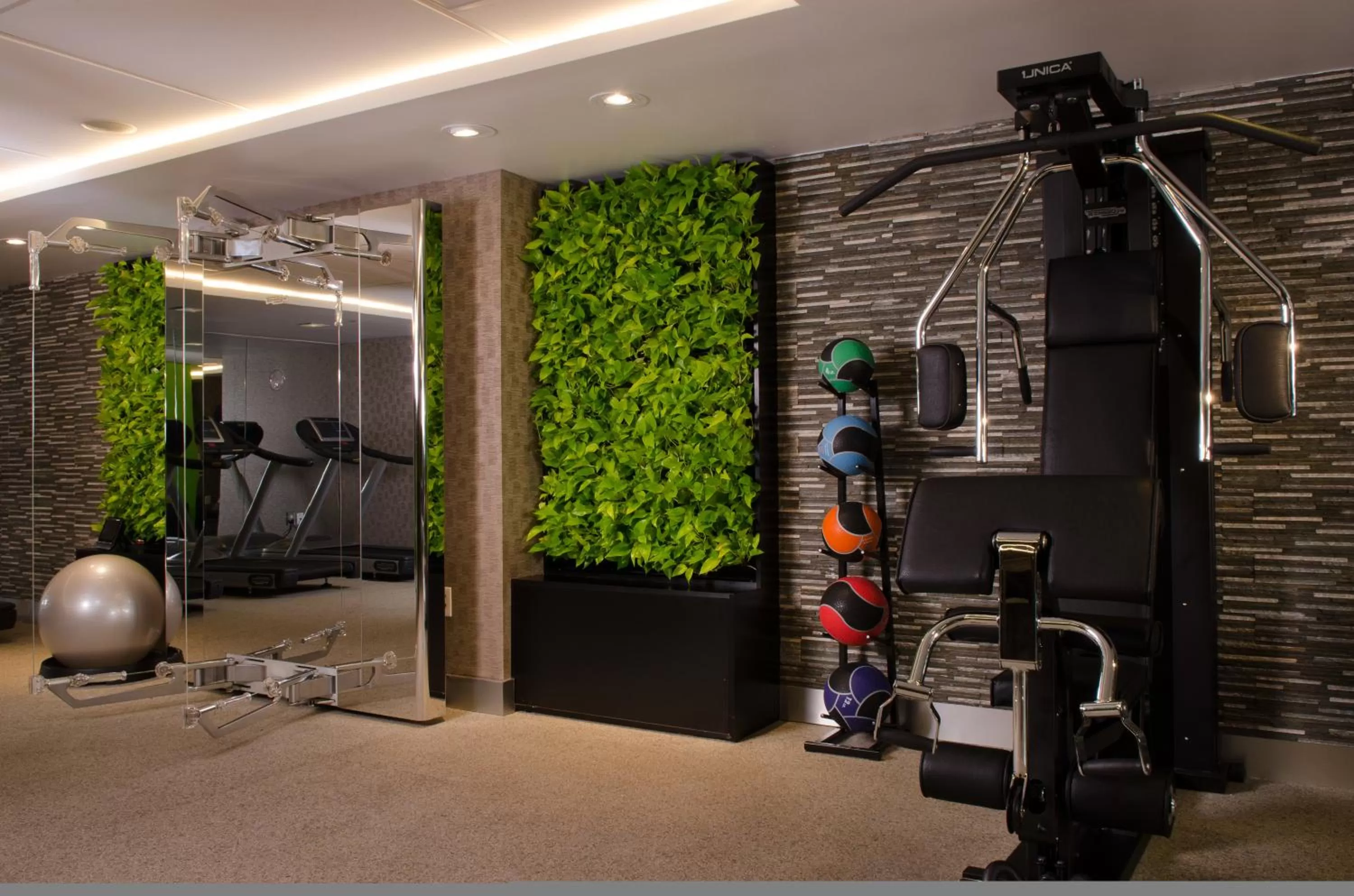 Fitness centre/facilities in Sofitel Lafayette Square Washington DC