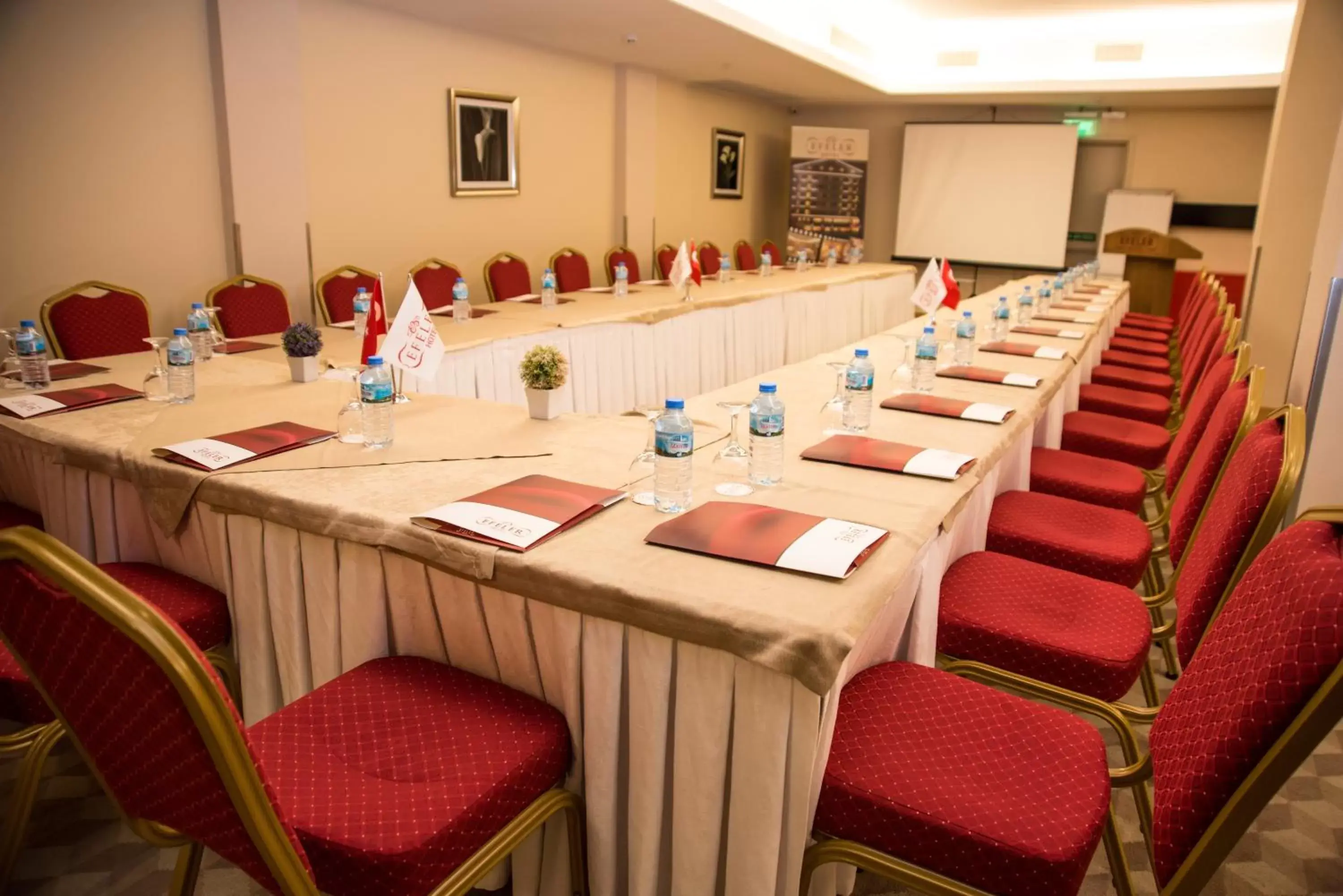 Meeting/conference room in Efeler Hotel